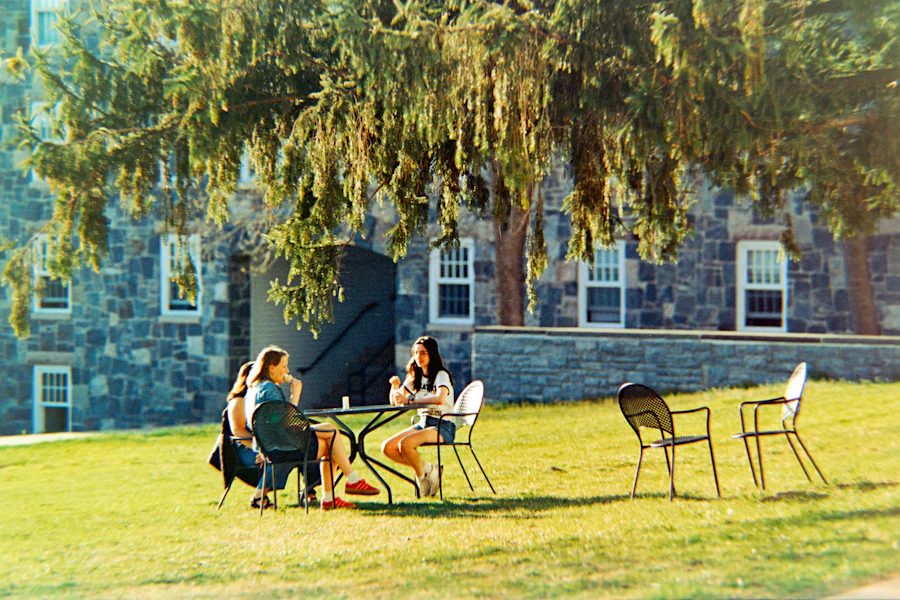 Afternoon tea on the lawn