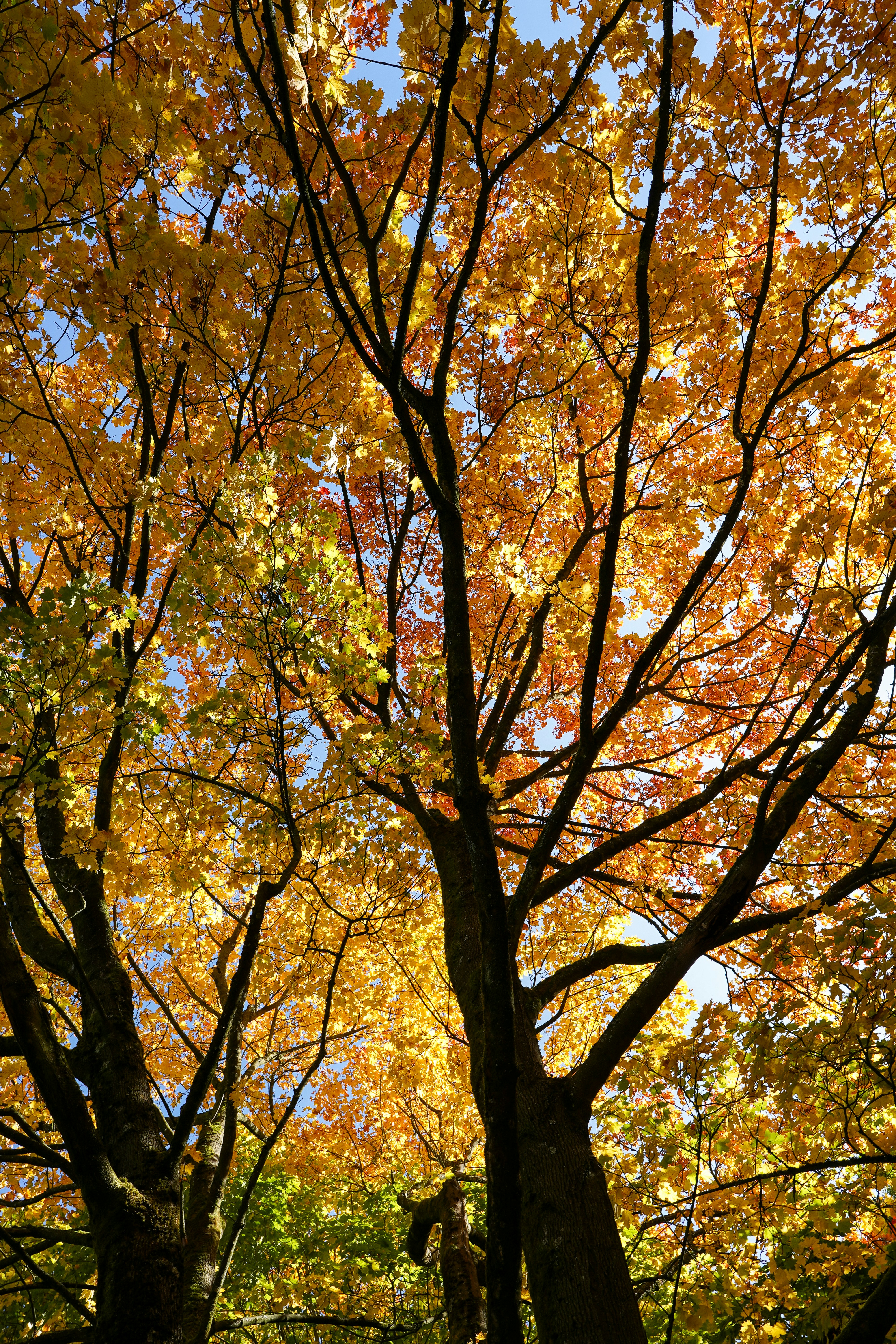 Photo by hamburgmeinefreundin