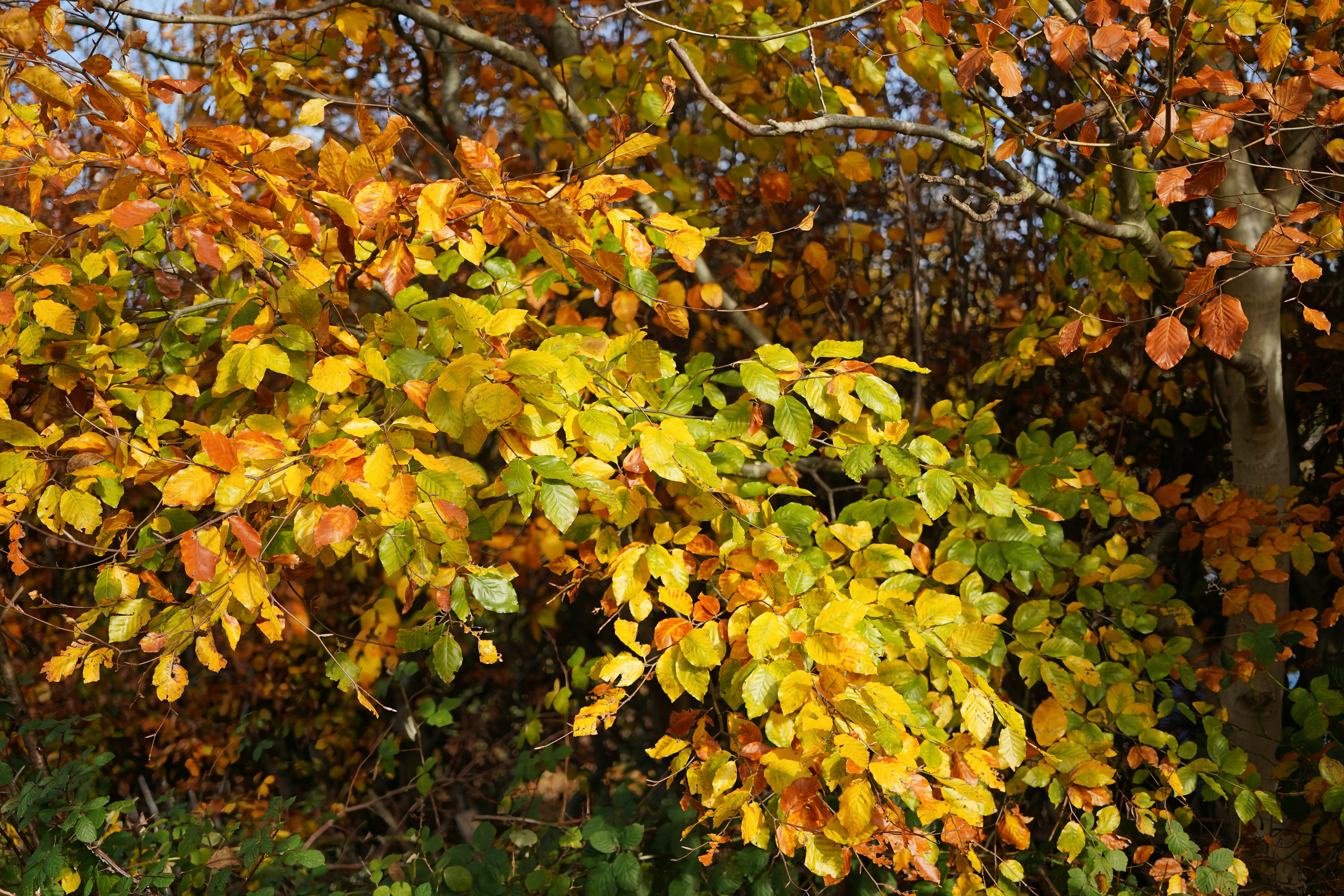 Photo by hamburgmeinefreundin