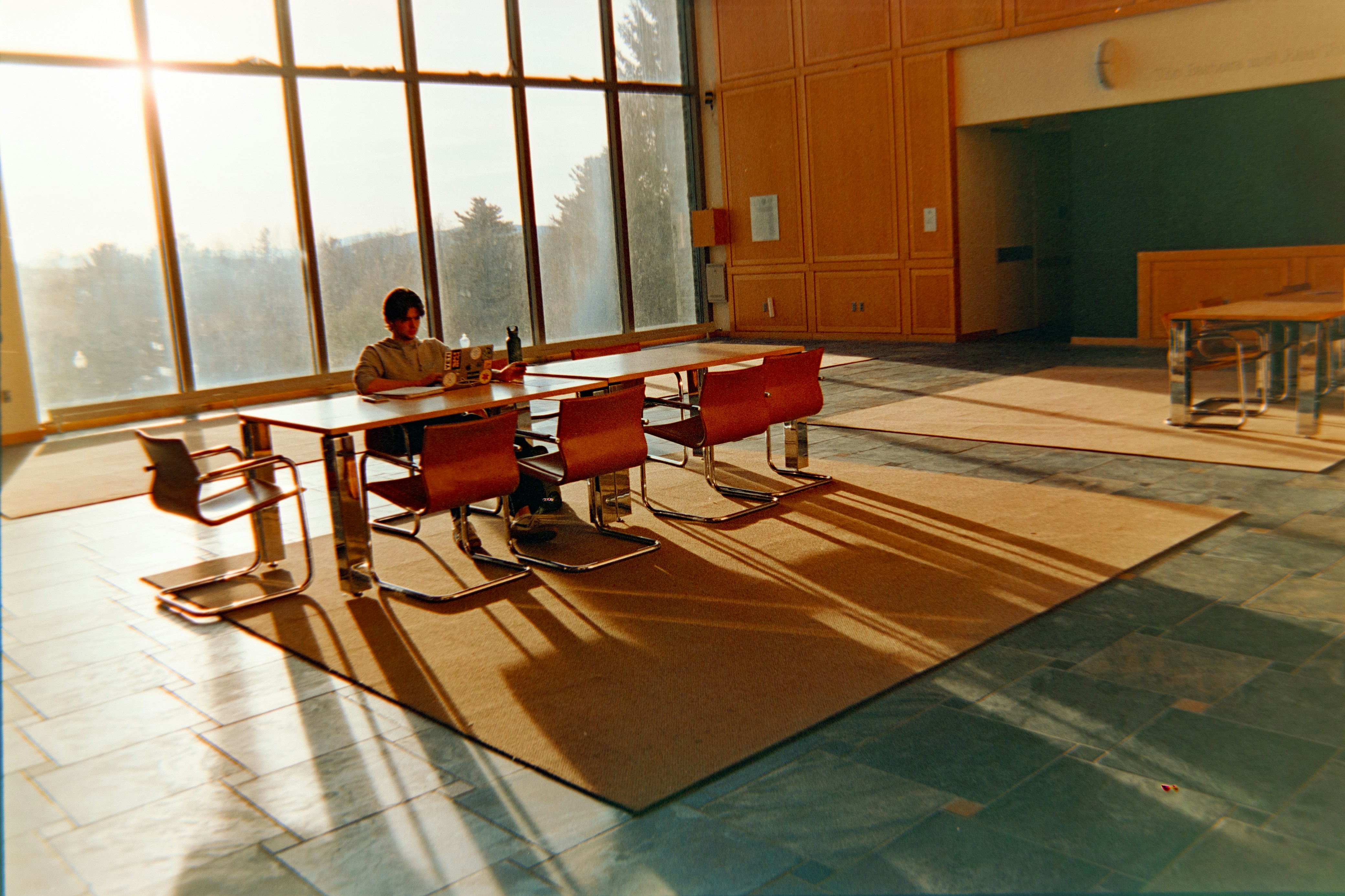 Student studying by window with natural light