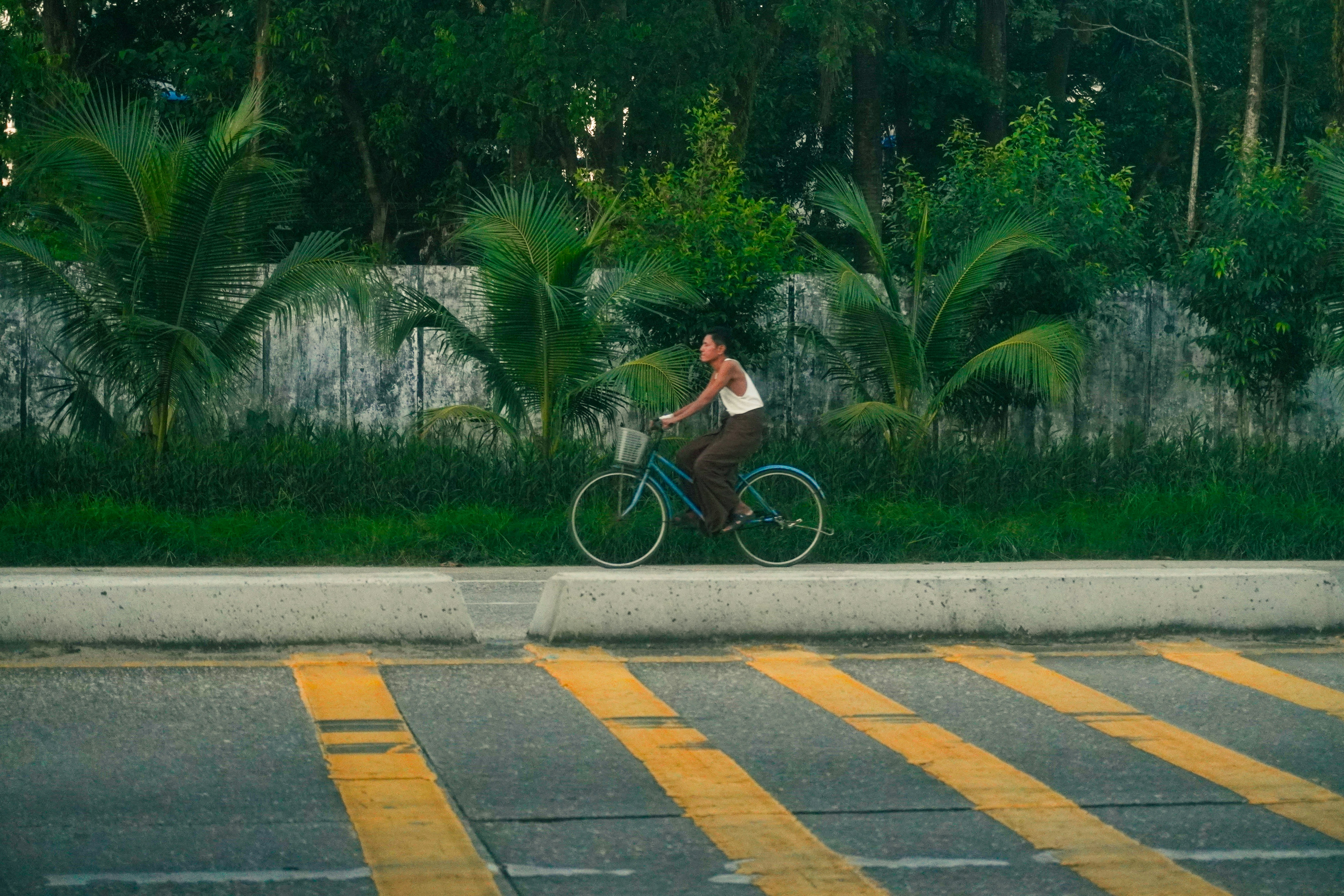 Woman rides bicycle on a sunny day