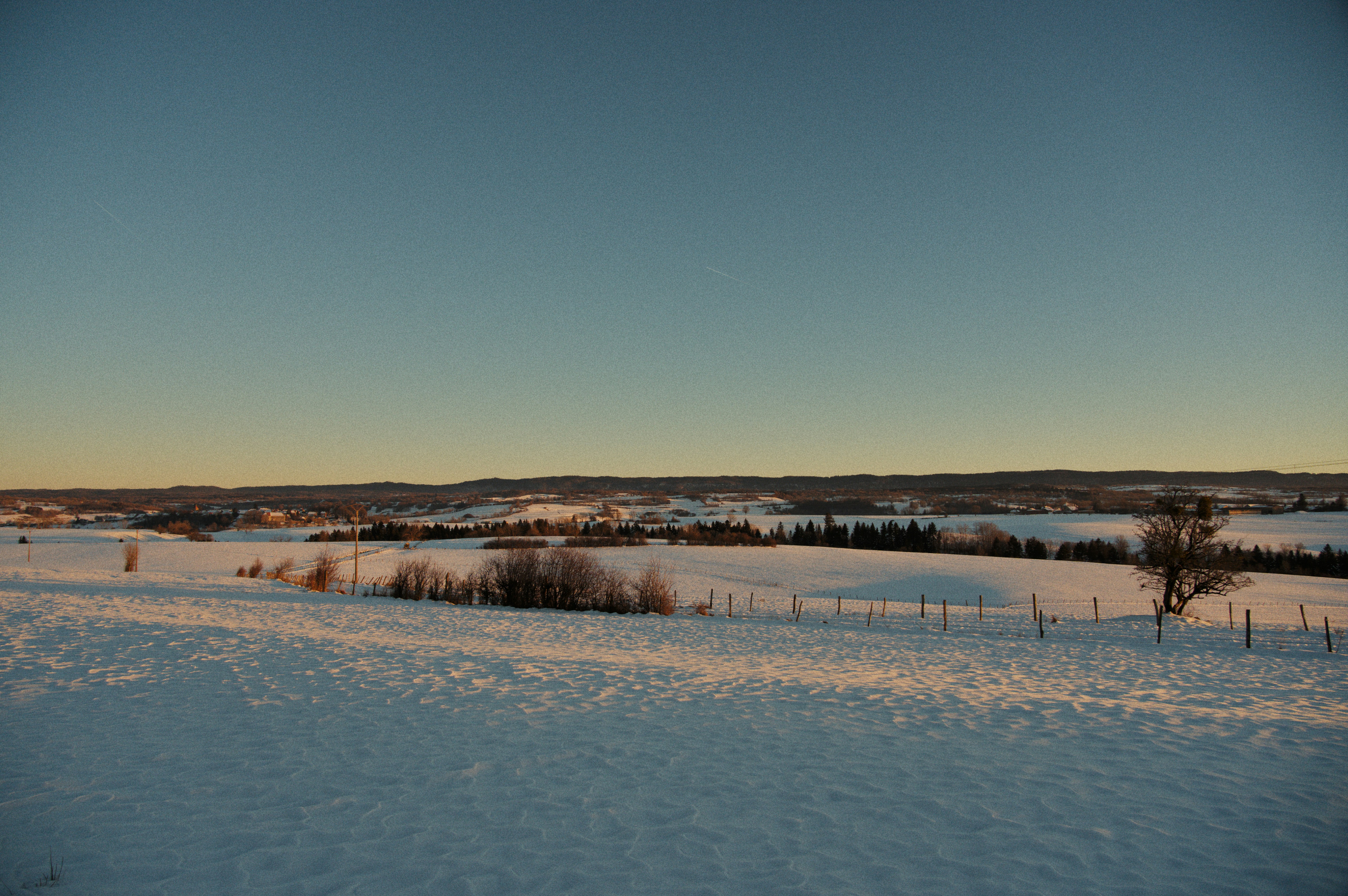 Photo by felixvericel