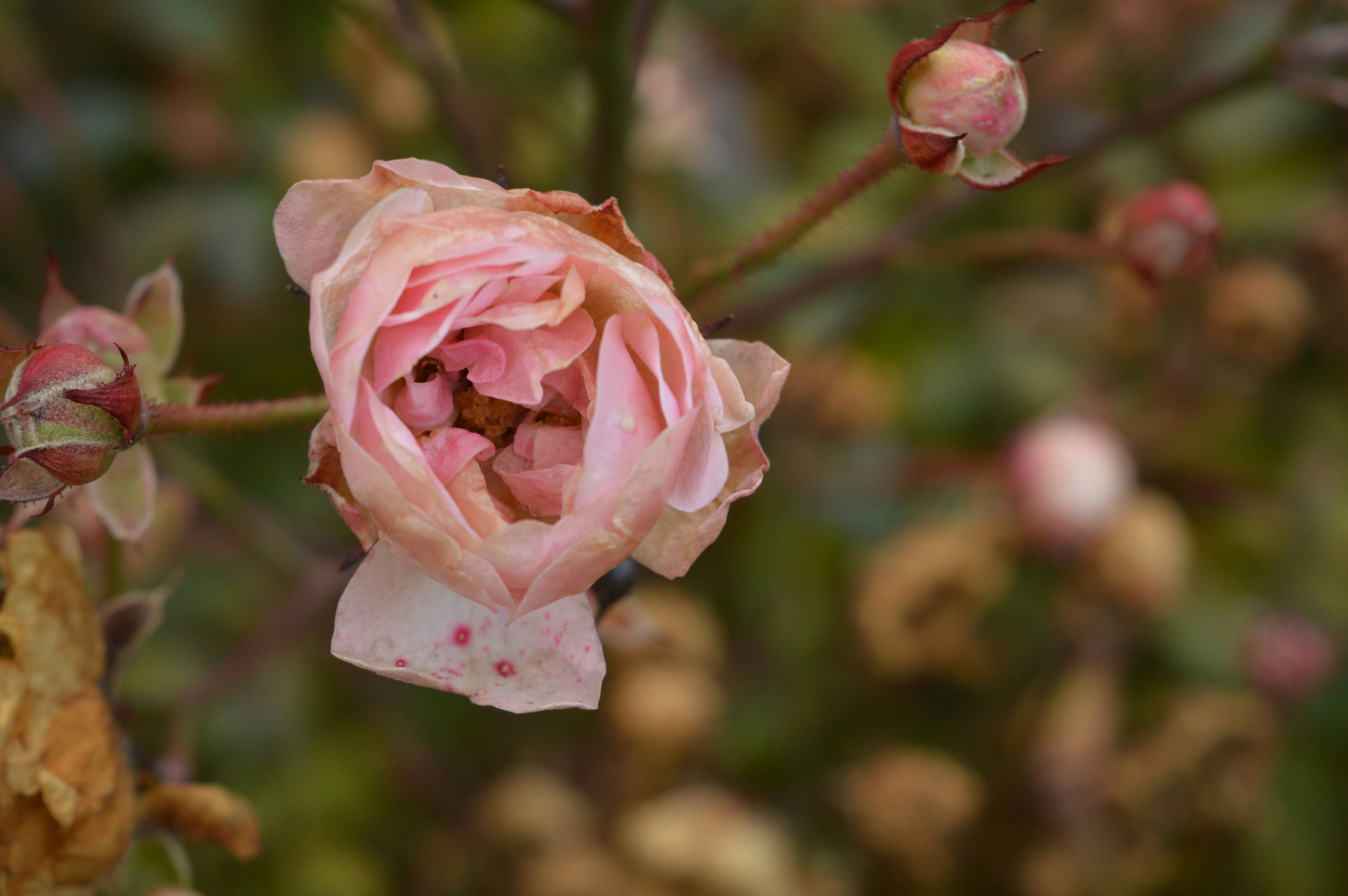 Photo by m_kucera_12