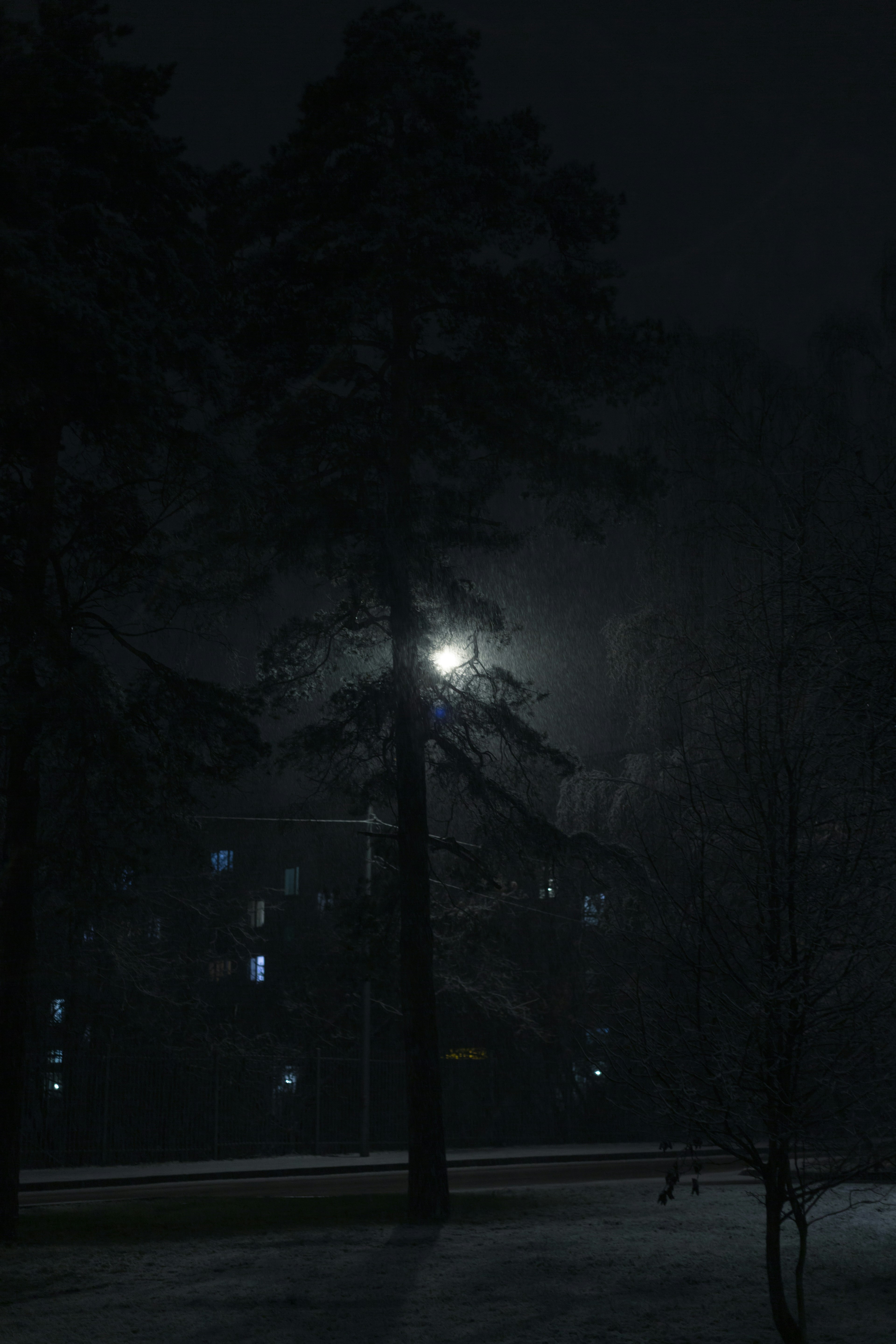Snowy park night