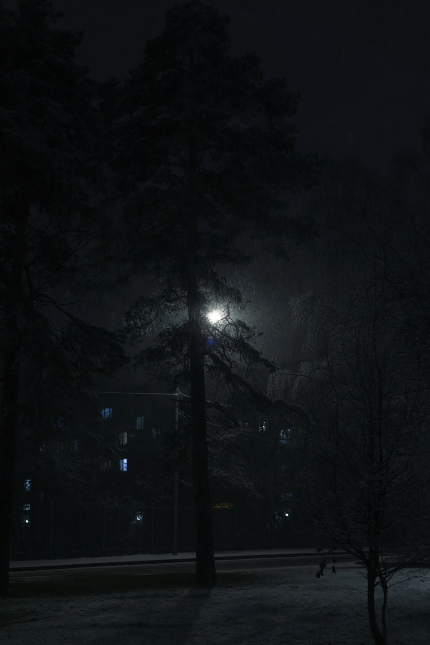 A lamp standing in falling snow, its light the only thing visible in the dark