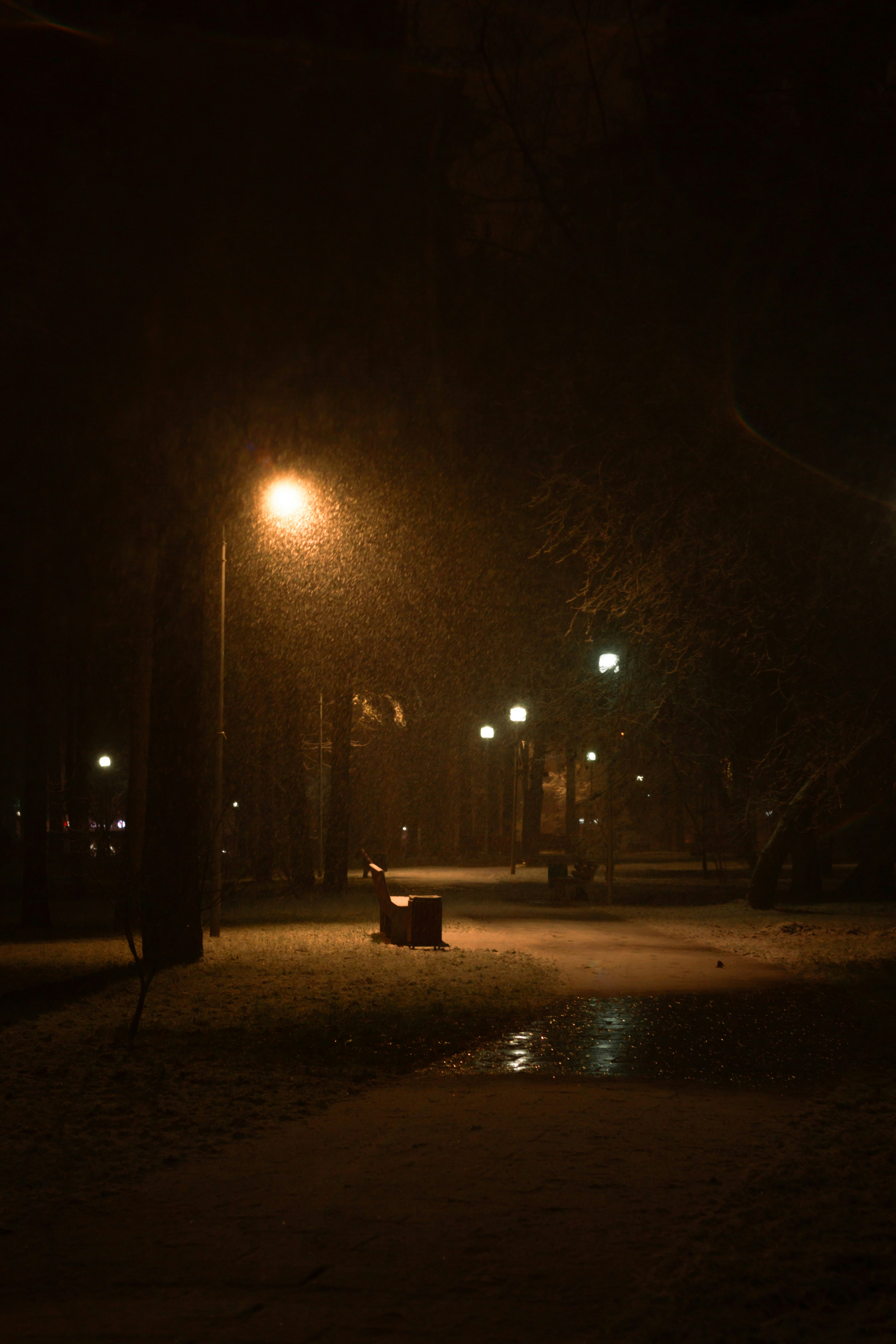 Photo by bat0n