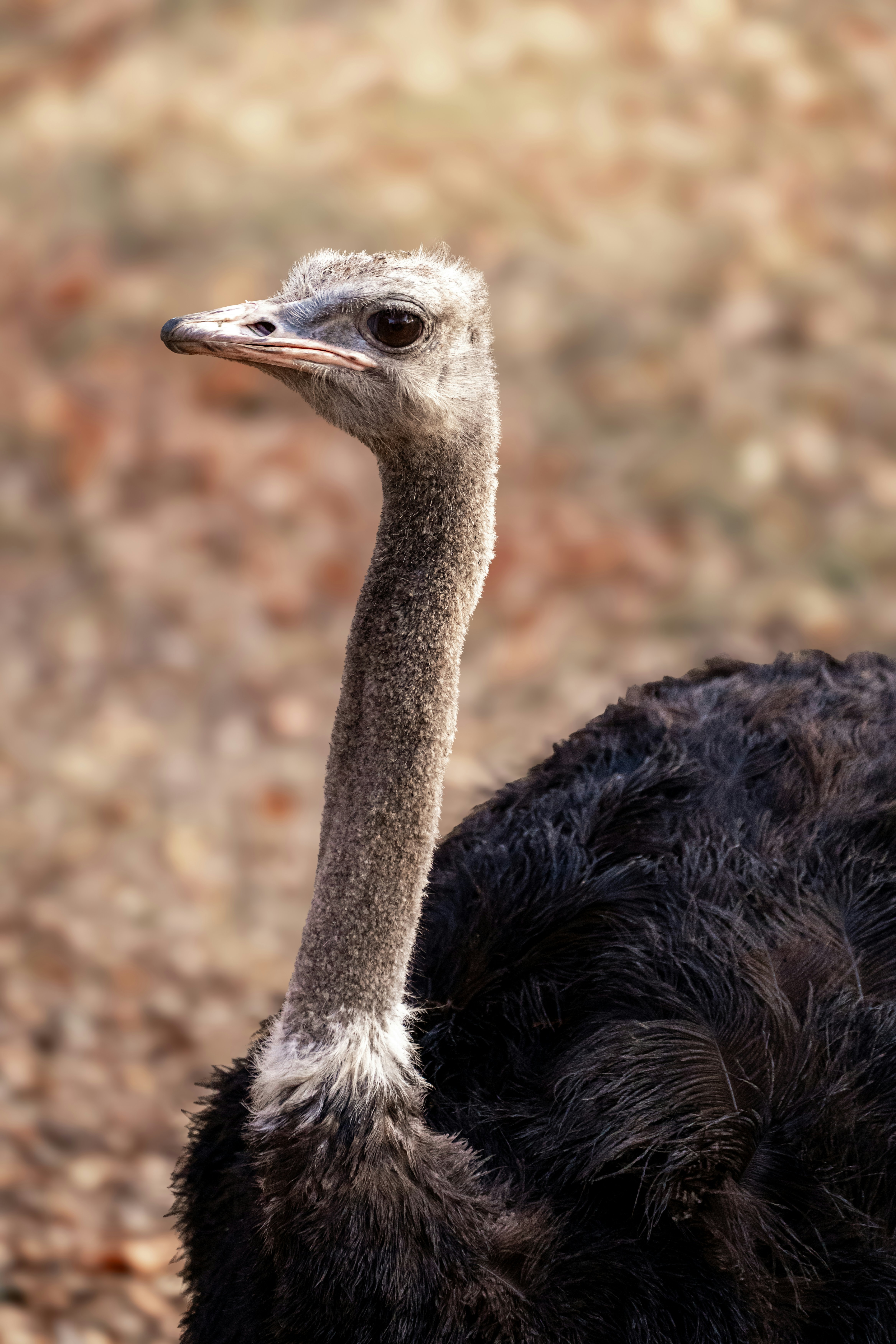 Photo by cnholliday14