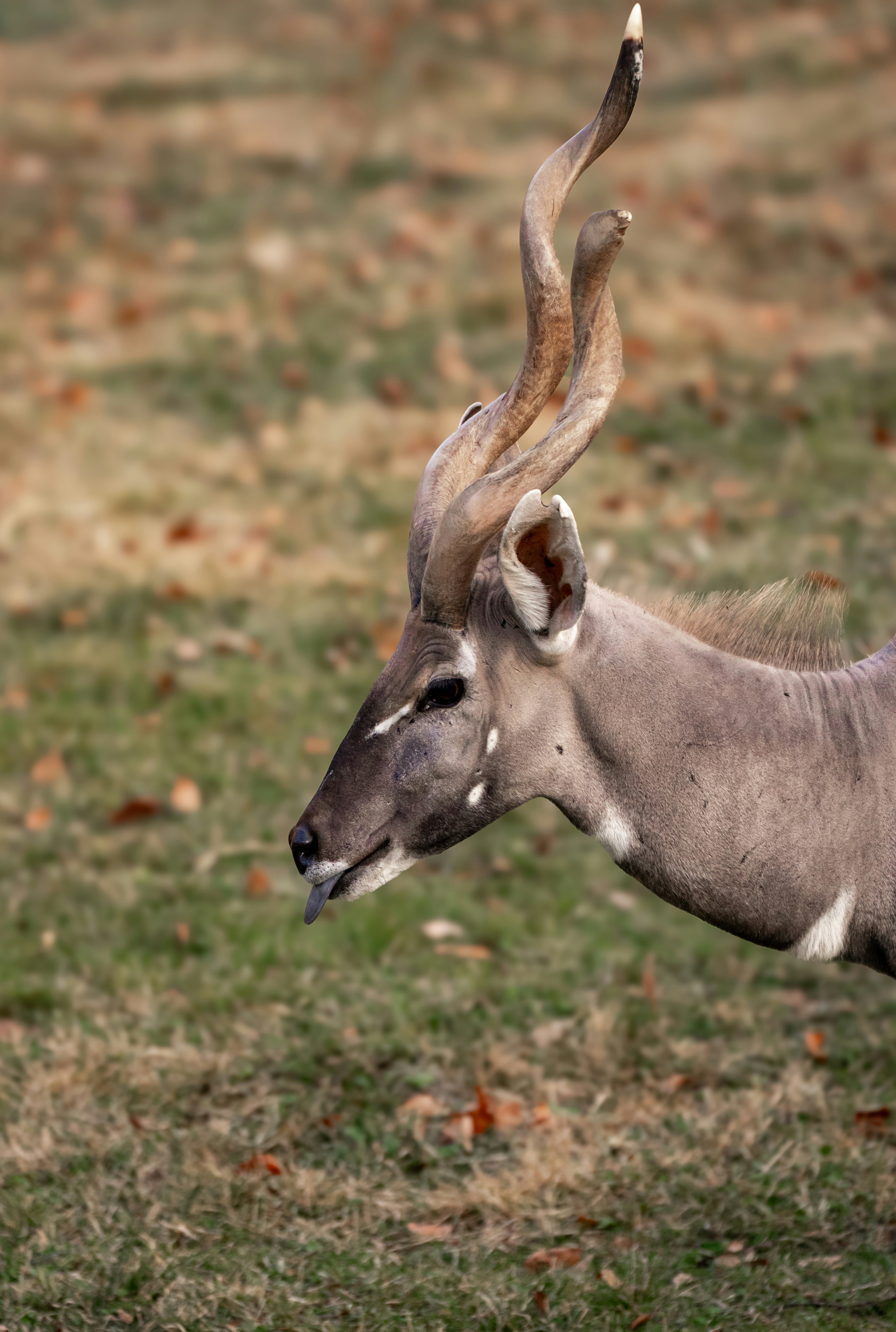 Photo by cnholliday14