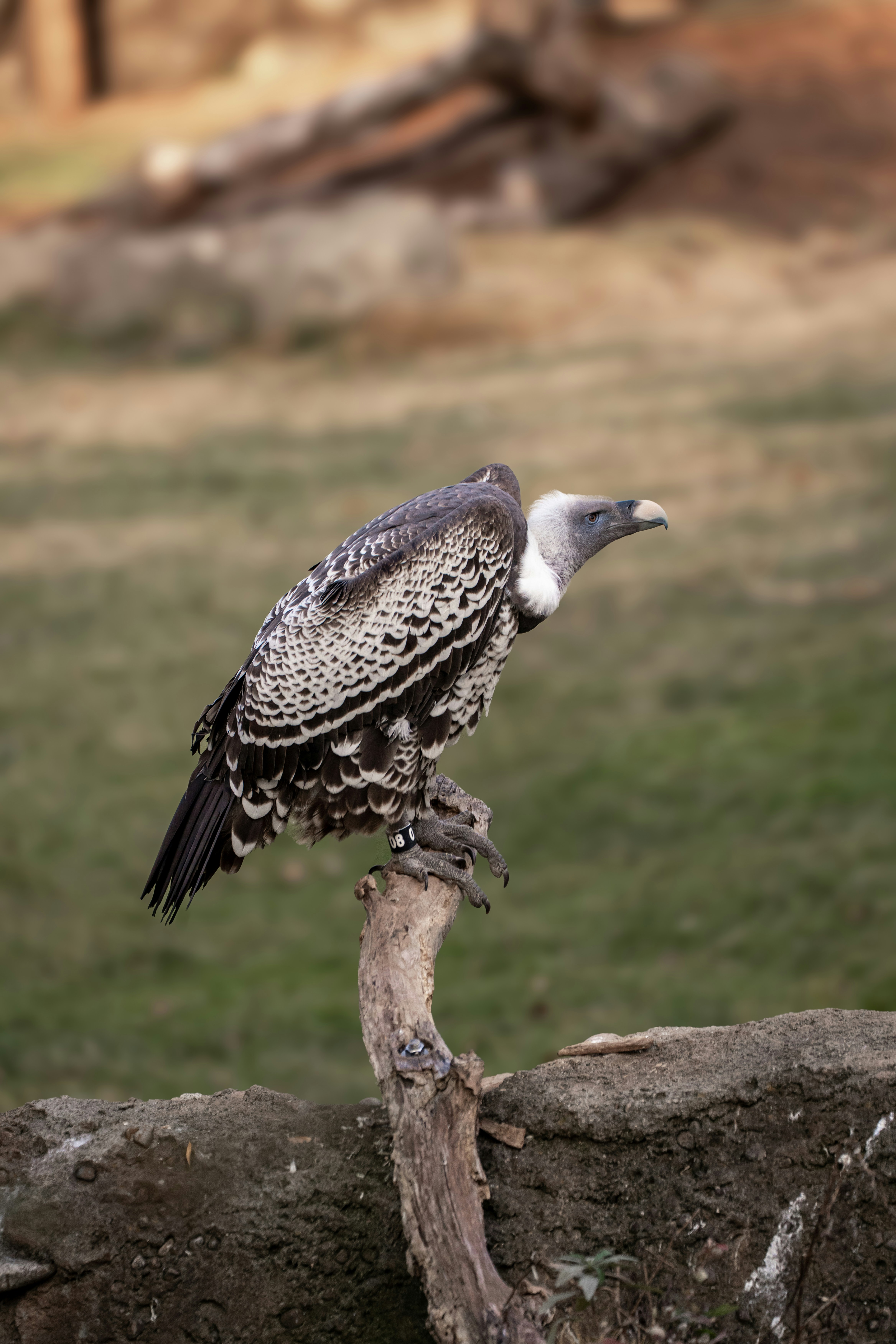 Photo by cnholliday14