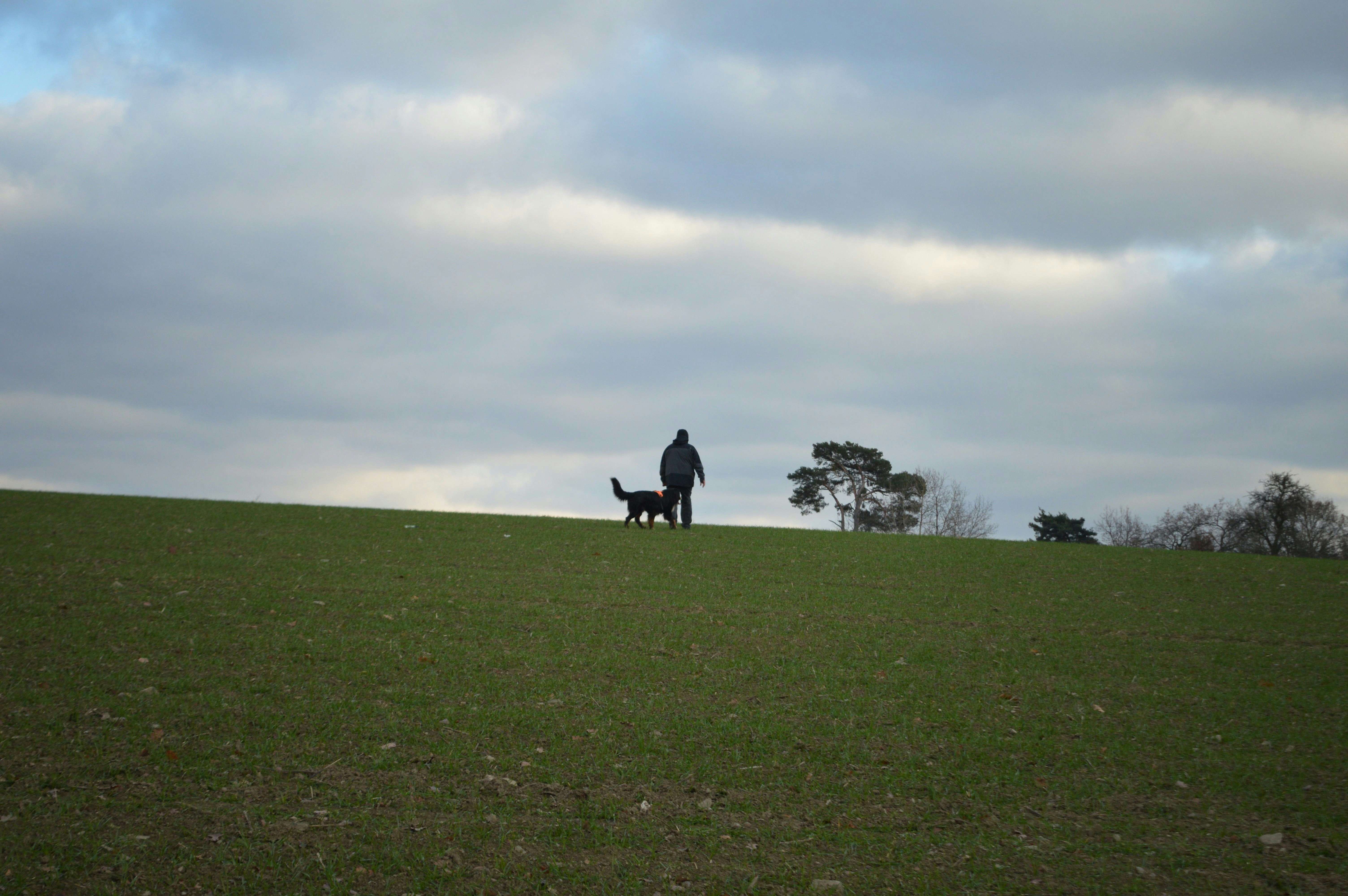 Freudiger Moment bei der Übergabe eines vermittelten Pferdes