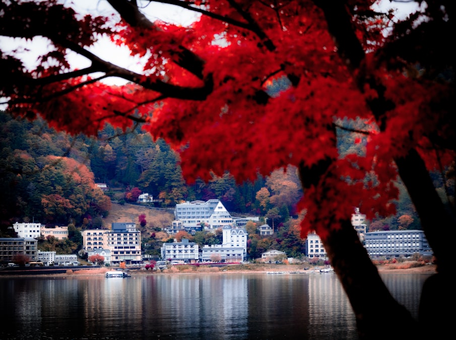 湖畔の紅葉風景（イメージ）