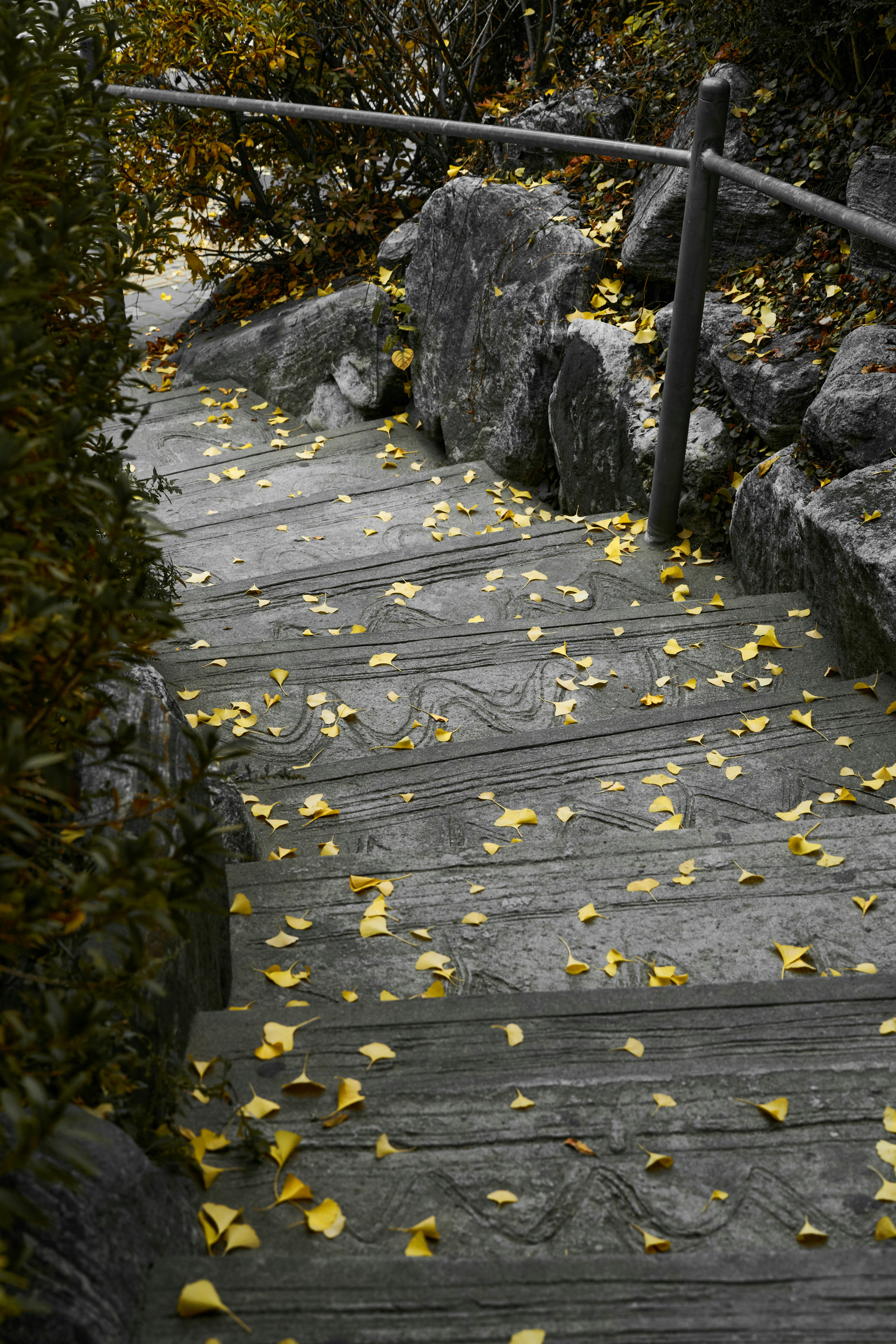 Stone stairs covered with fallen yellow leaves