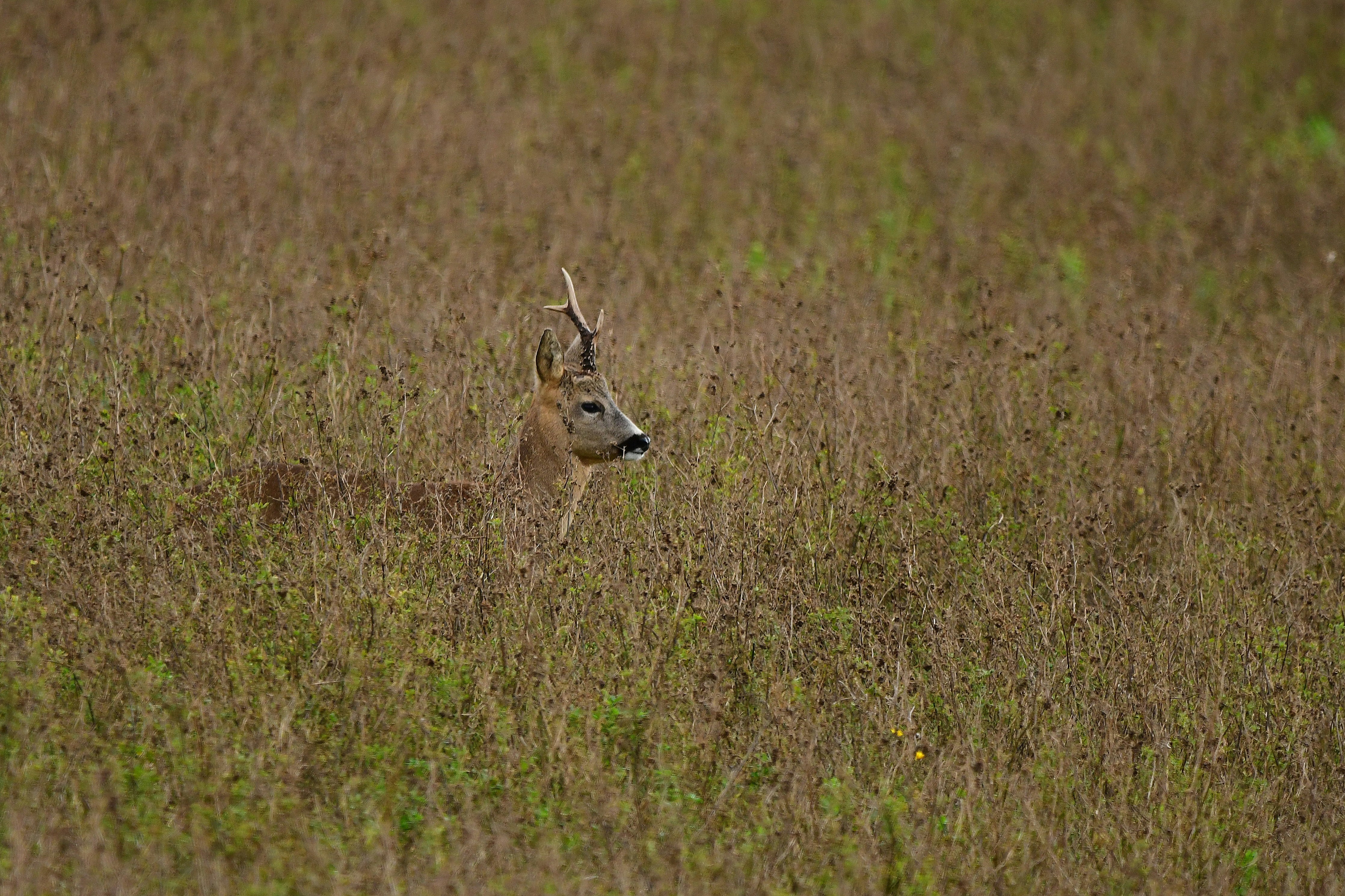 Photo by geraldine86170