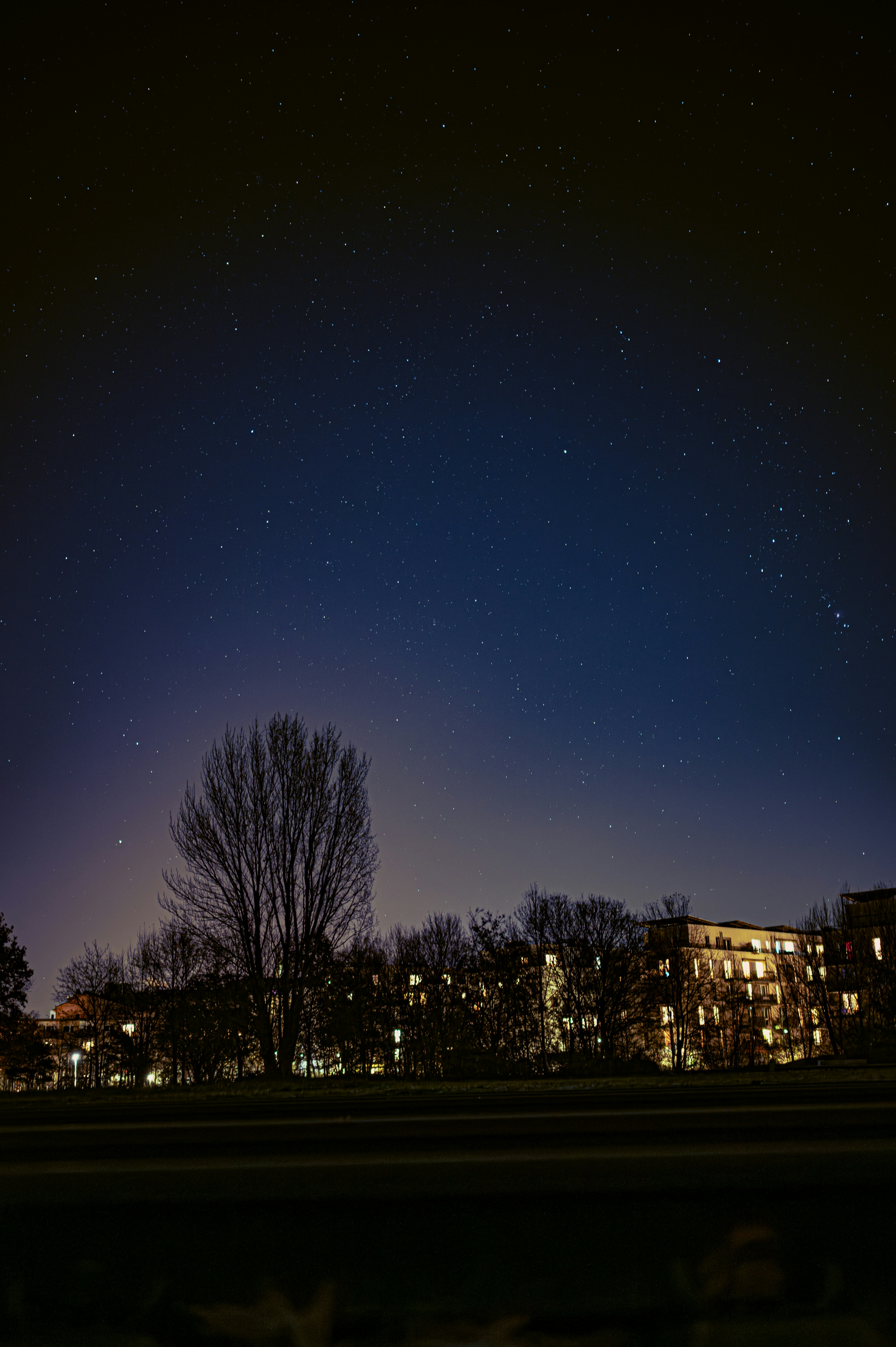 Starry night sky over illuminated buildings and trees