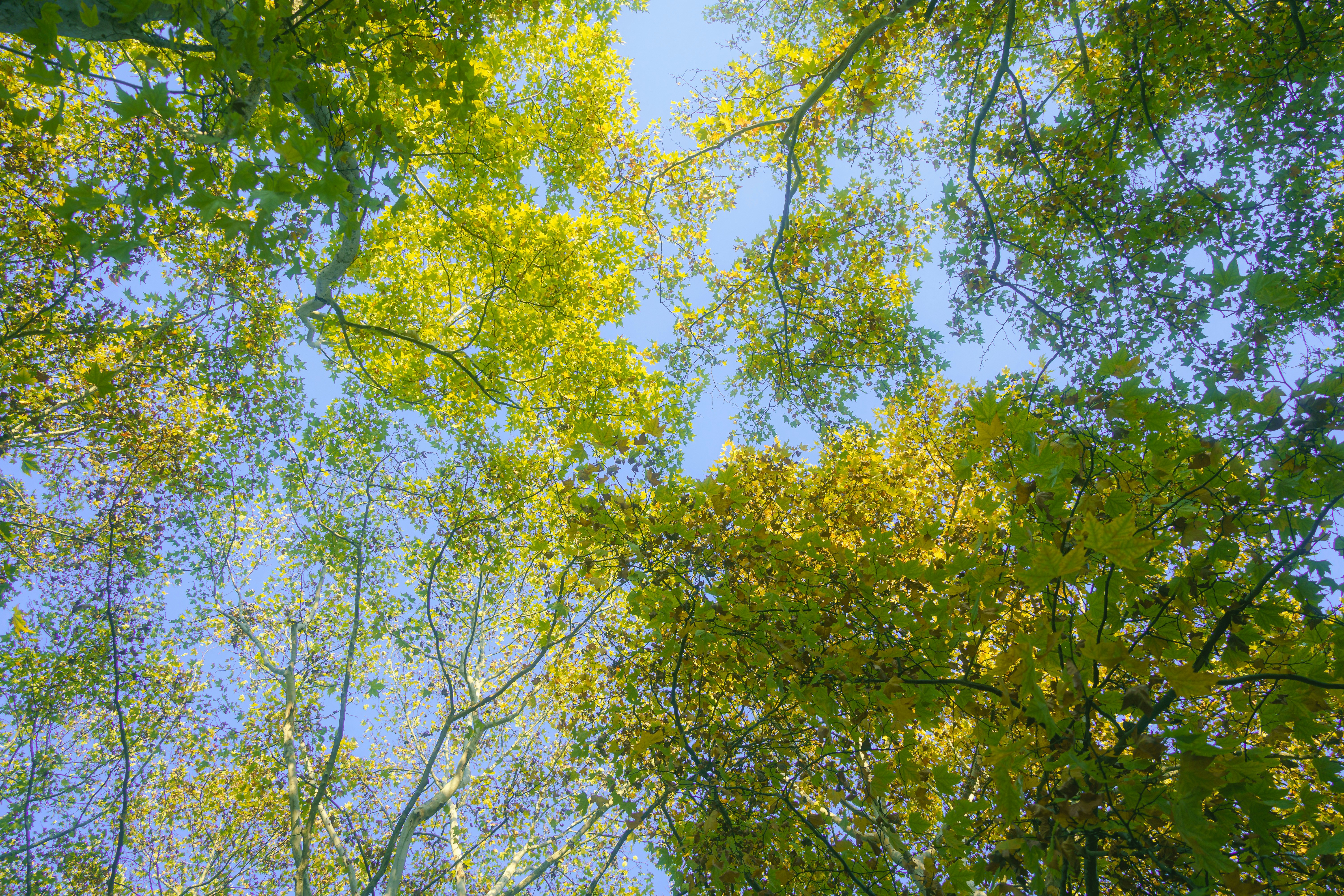 Photo by xiexianghua