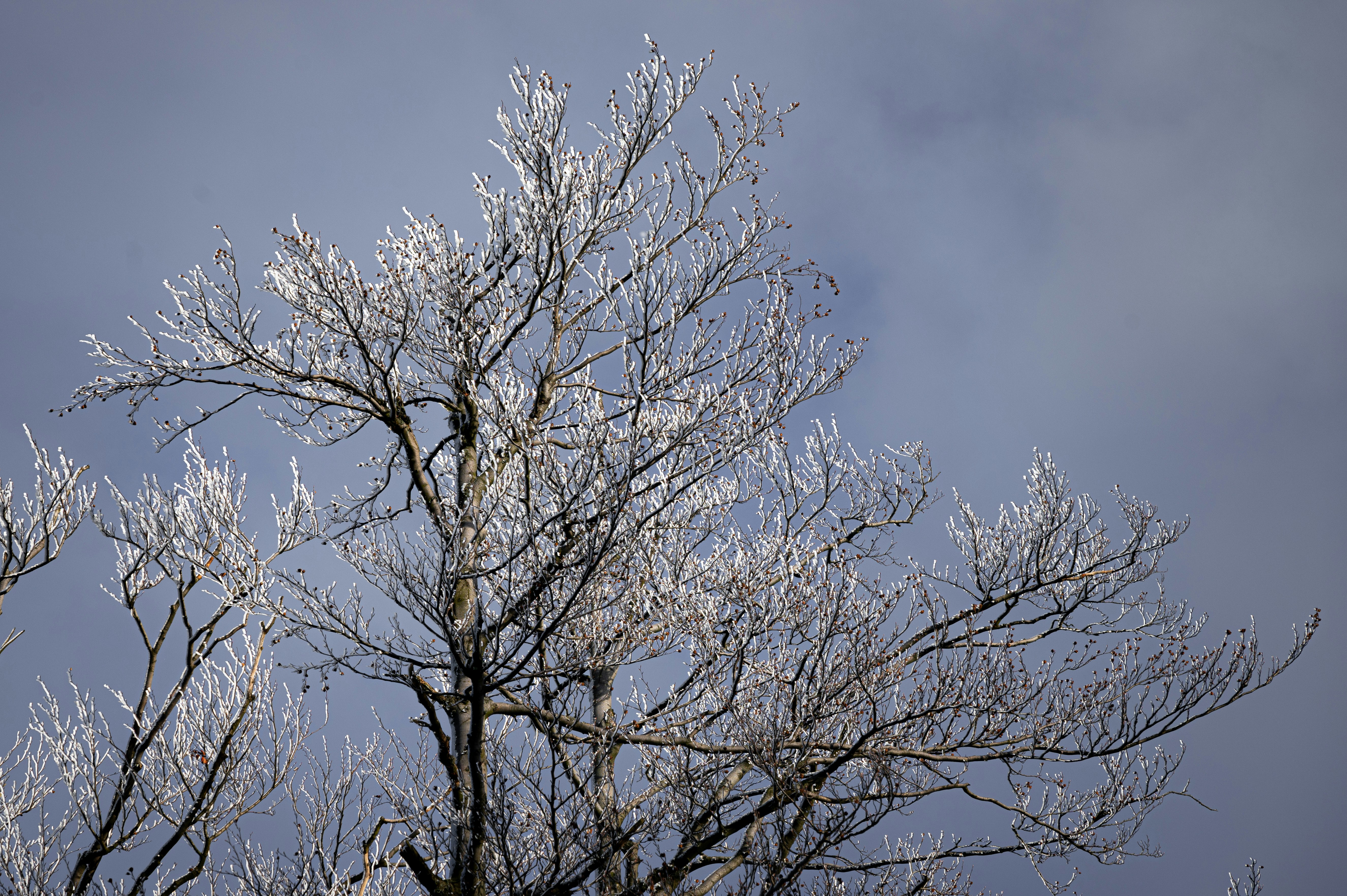 Photo by alexandra_p_d