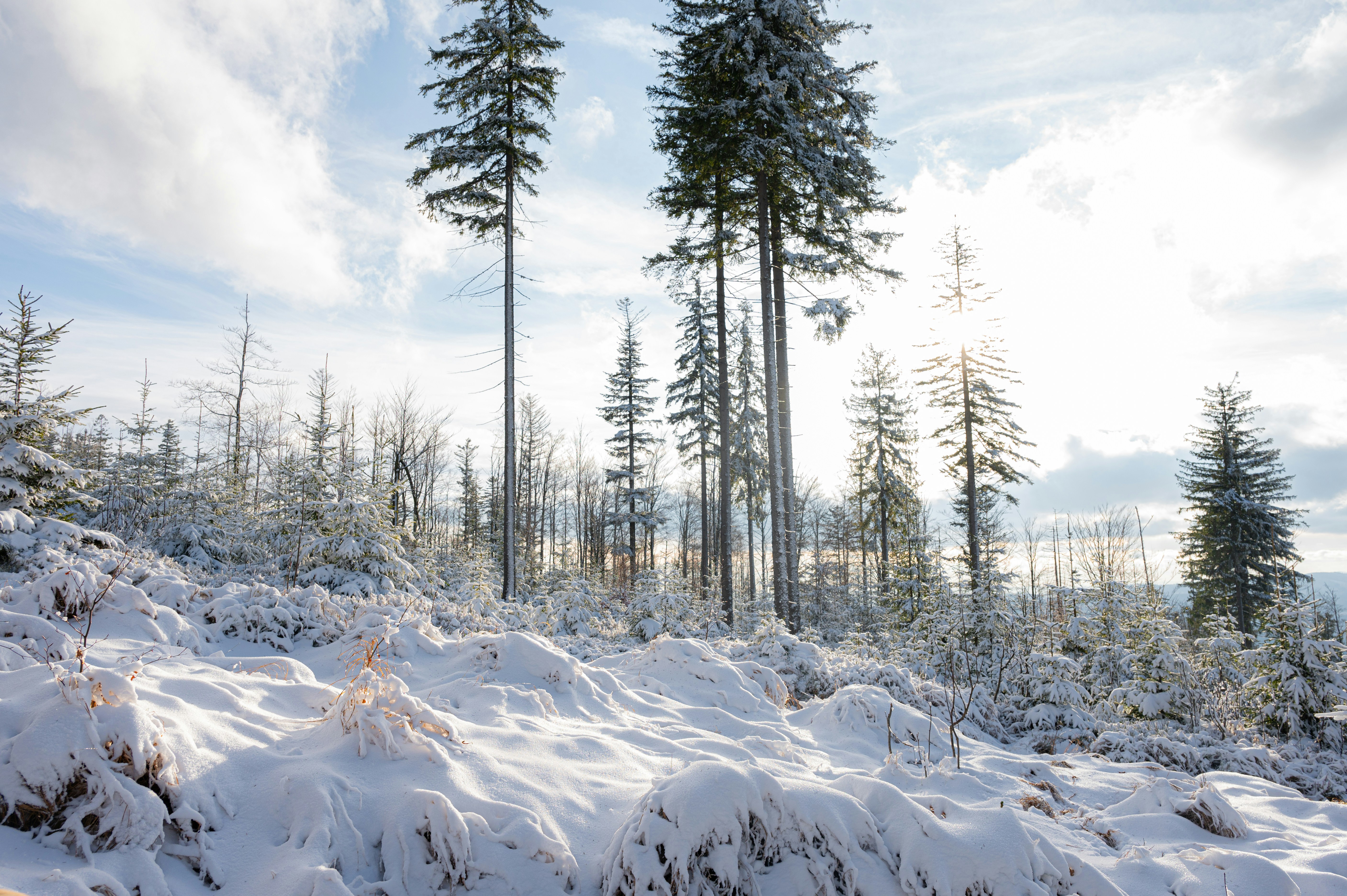 Photo by alexandra_p_d