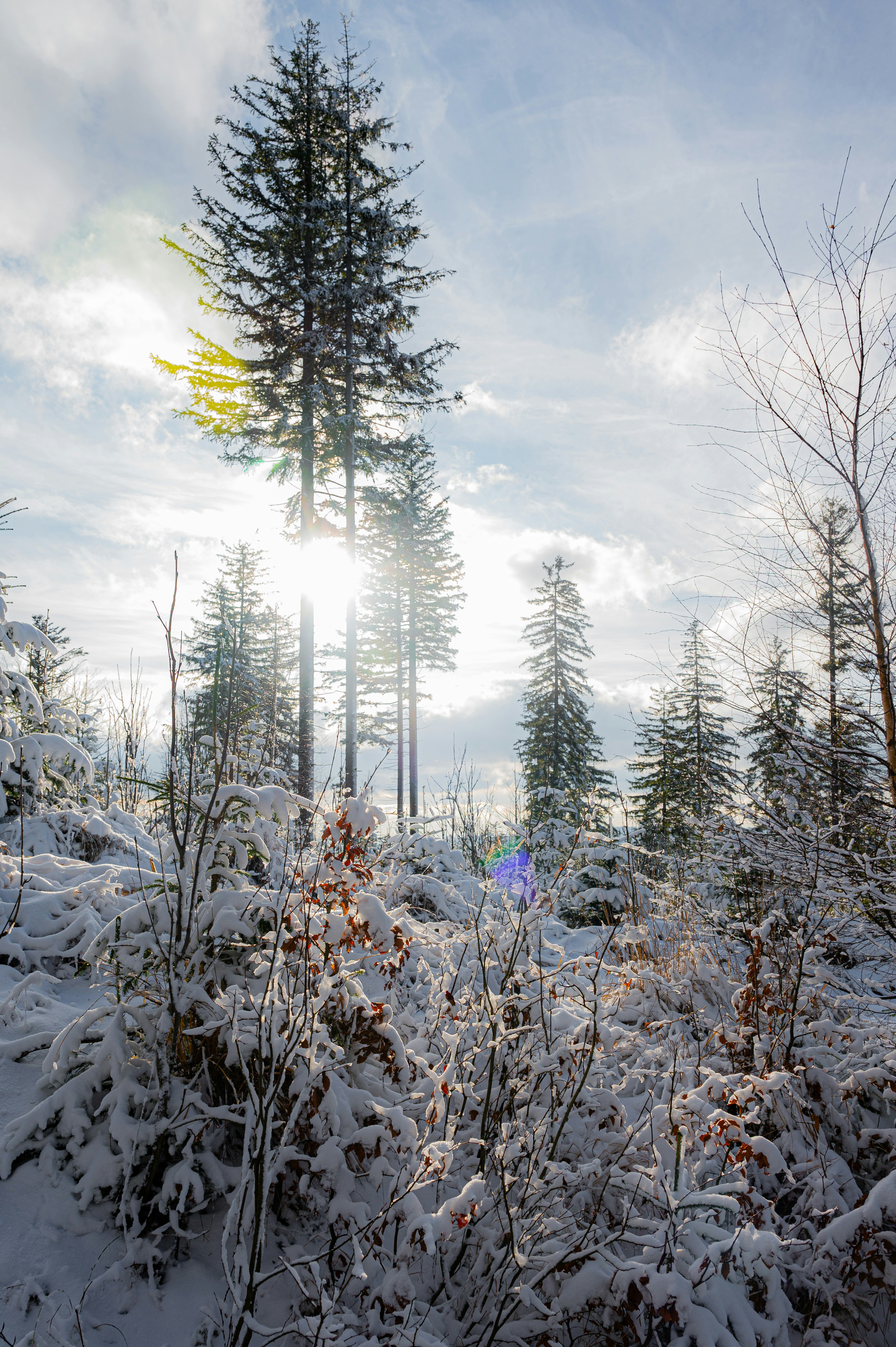 Photo by alexandra_p_d