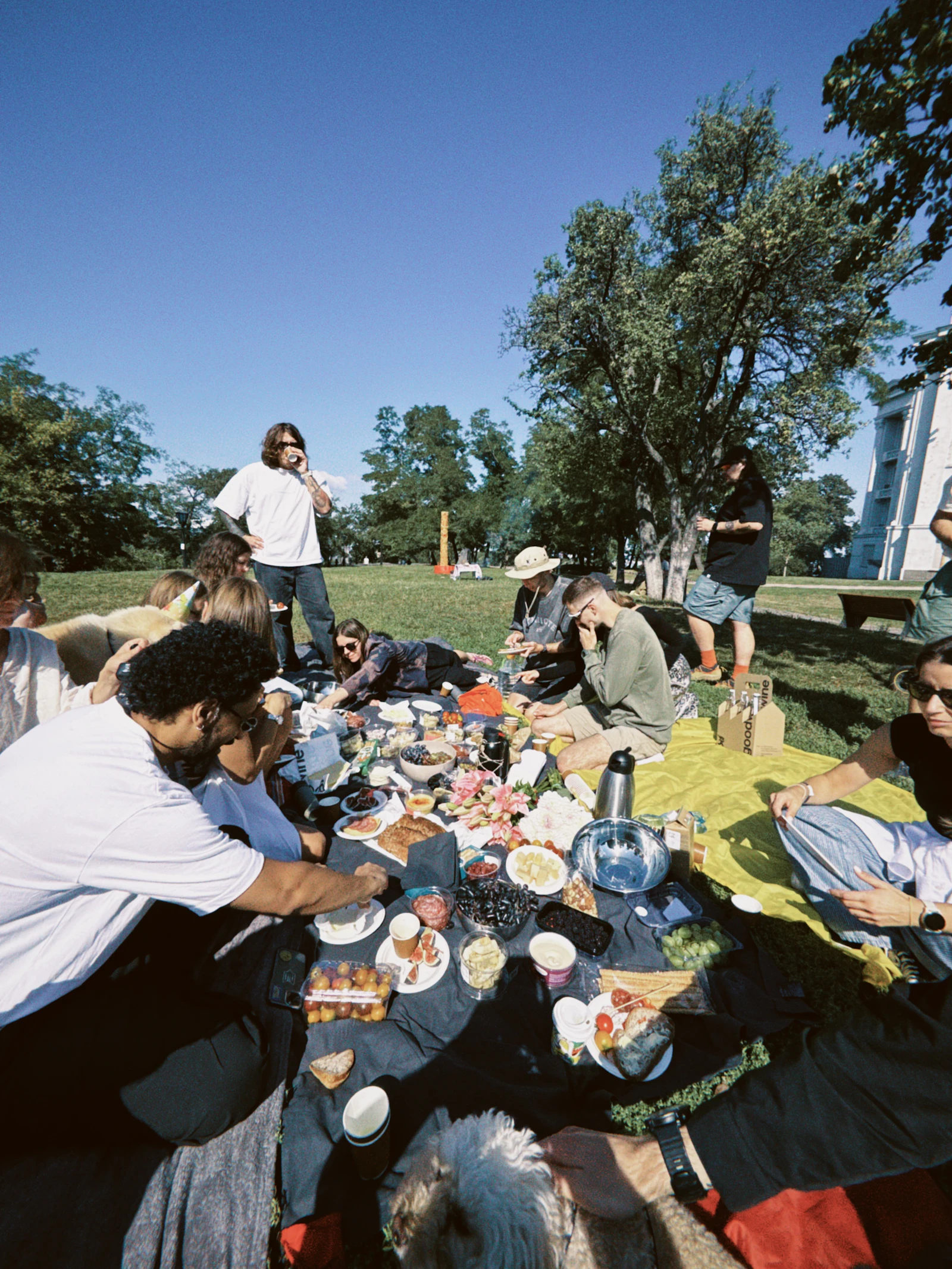 Friends sharing food at a sunny picnic in the park
