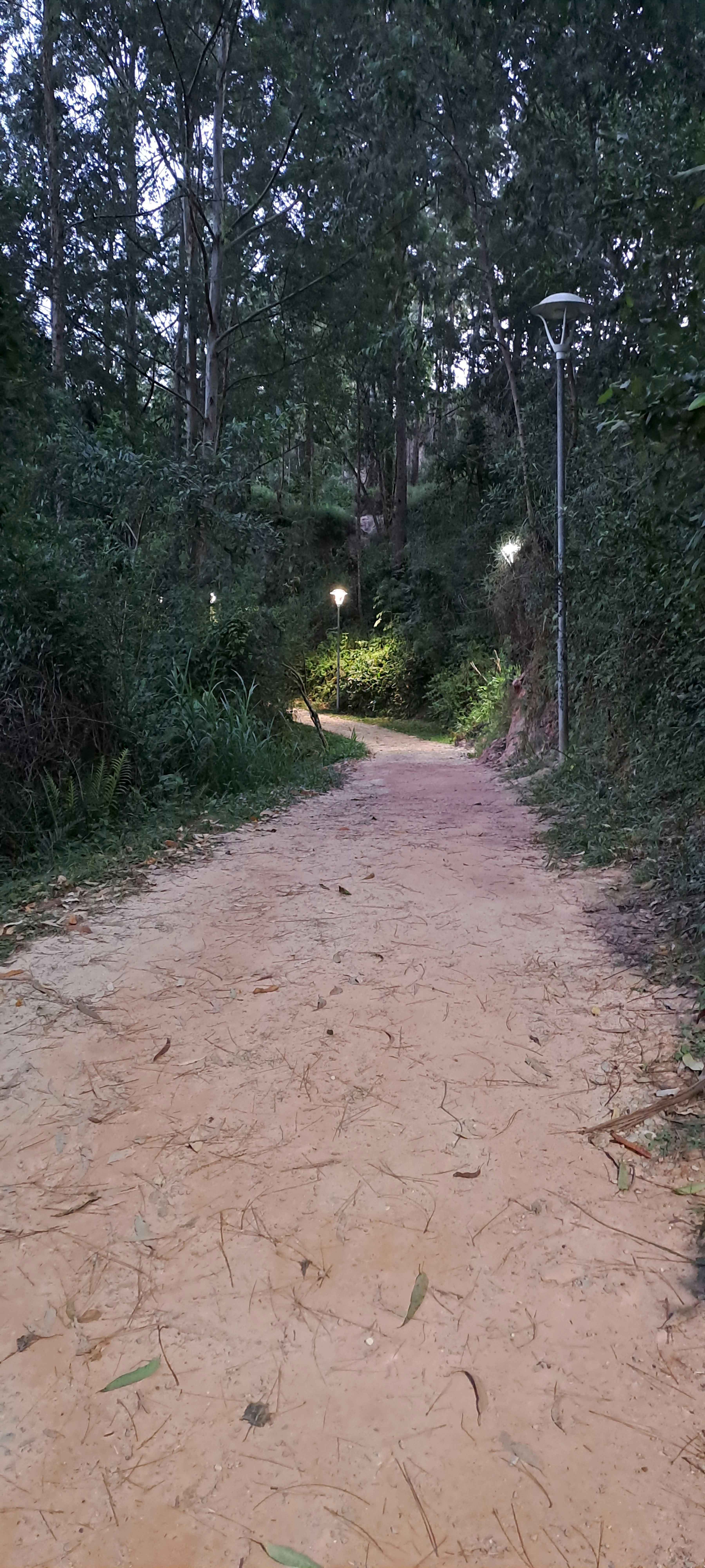 Two distinct but interconnected pathways, one a straight line (email), the other a social network graph (LinkedIn), leading to the same target.