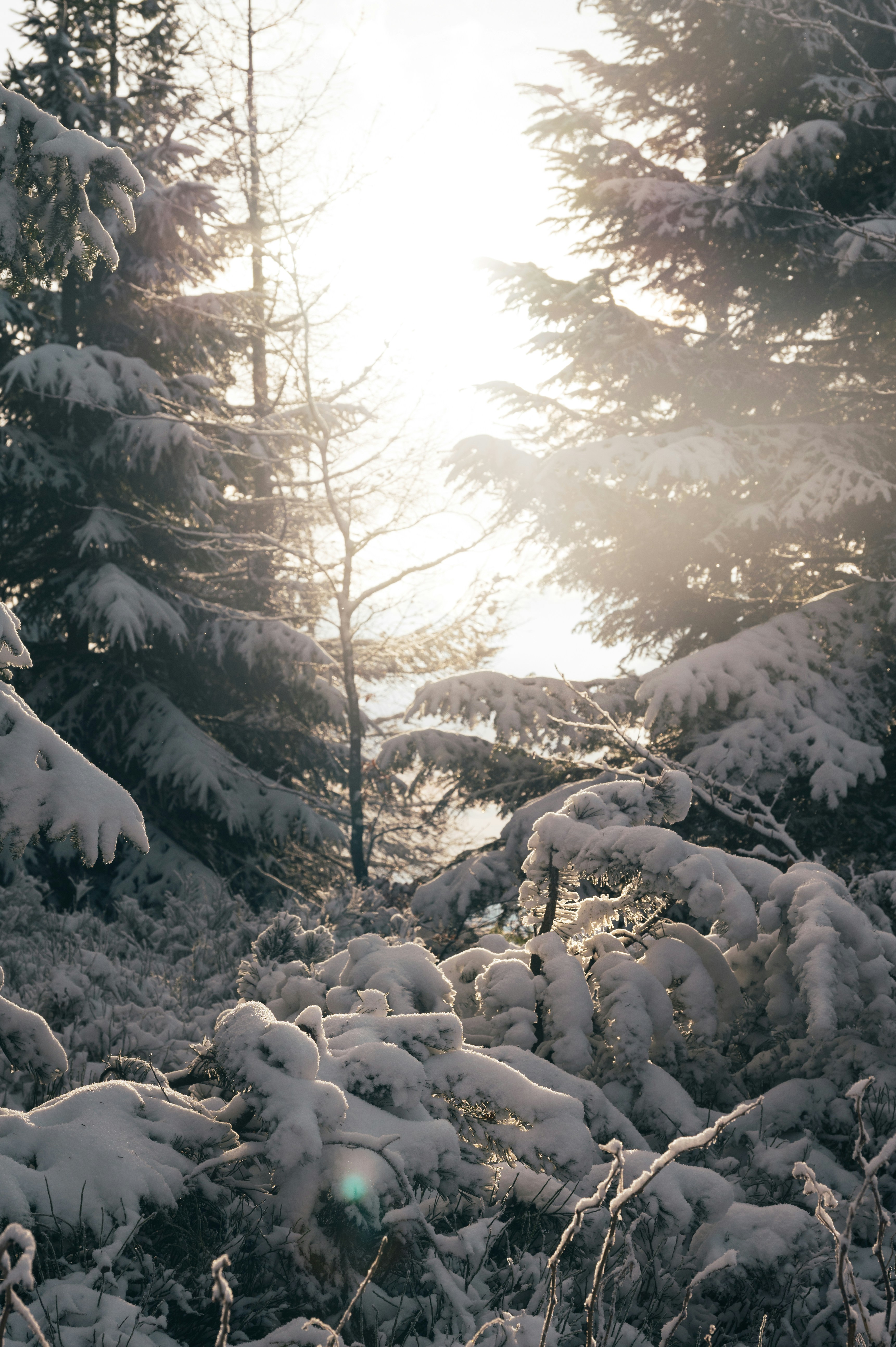 Photo by alexandra_p_d