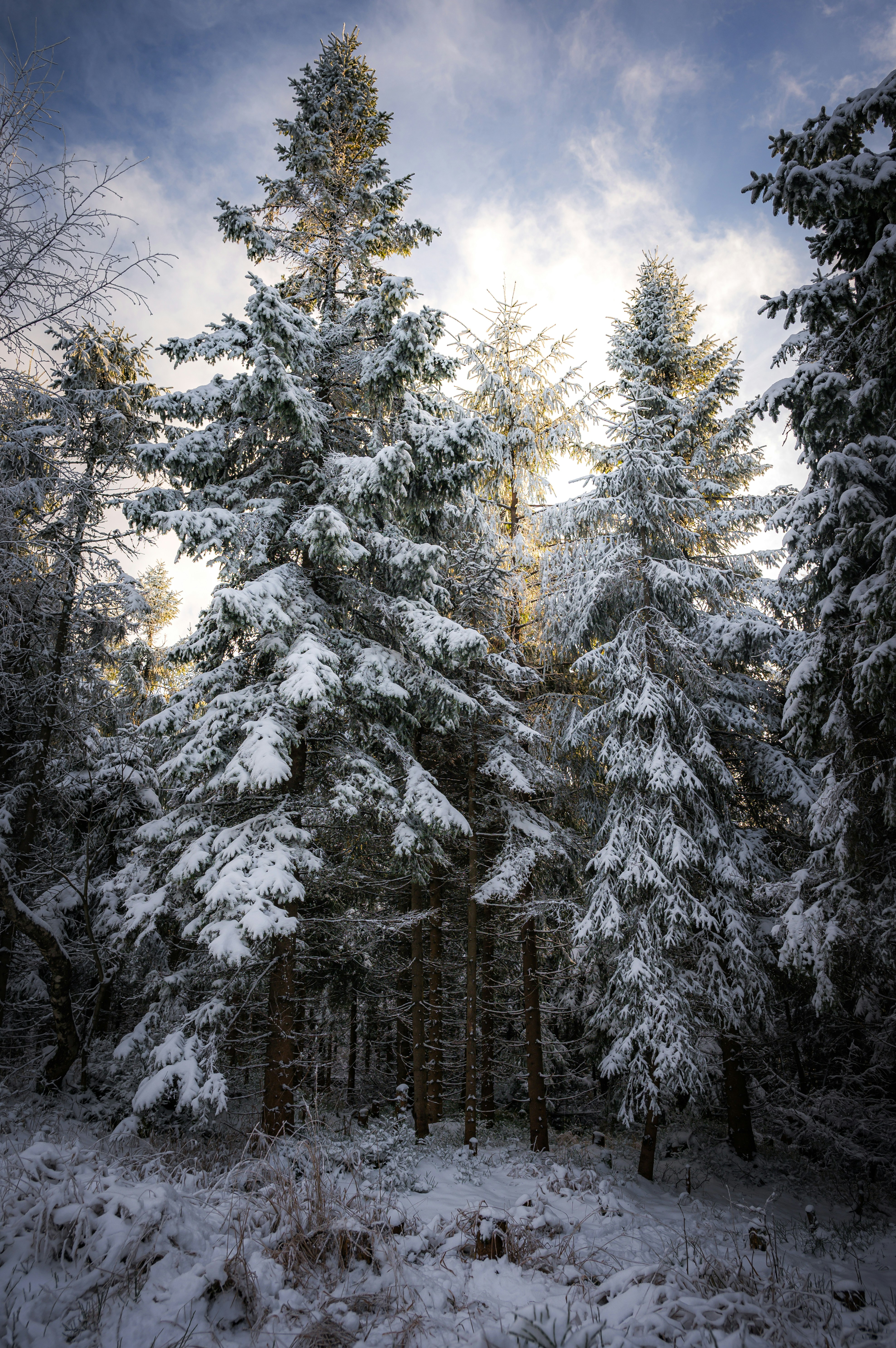 Photo by alexandra_p_d