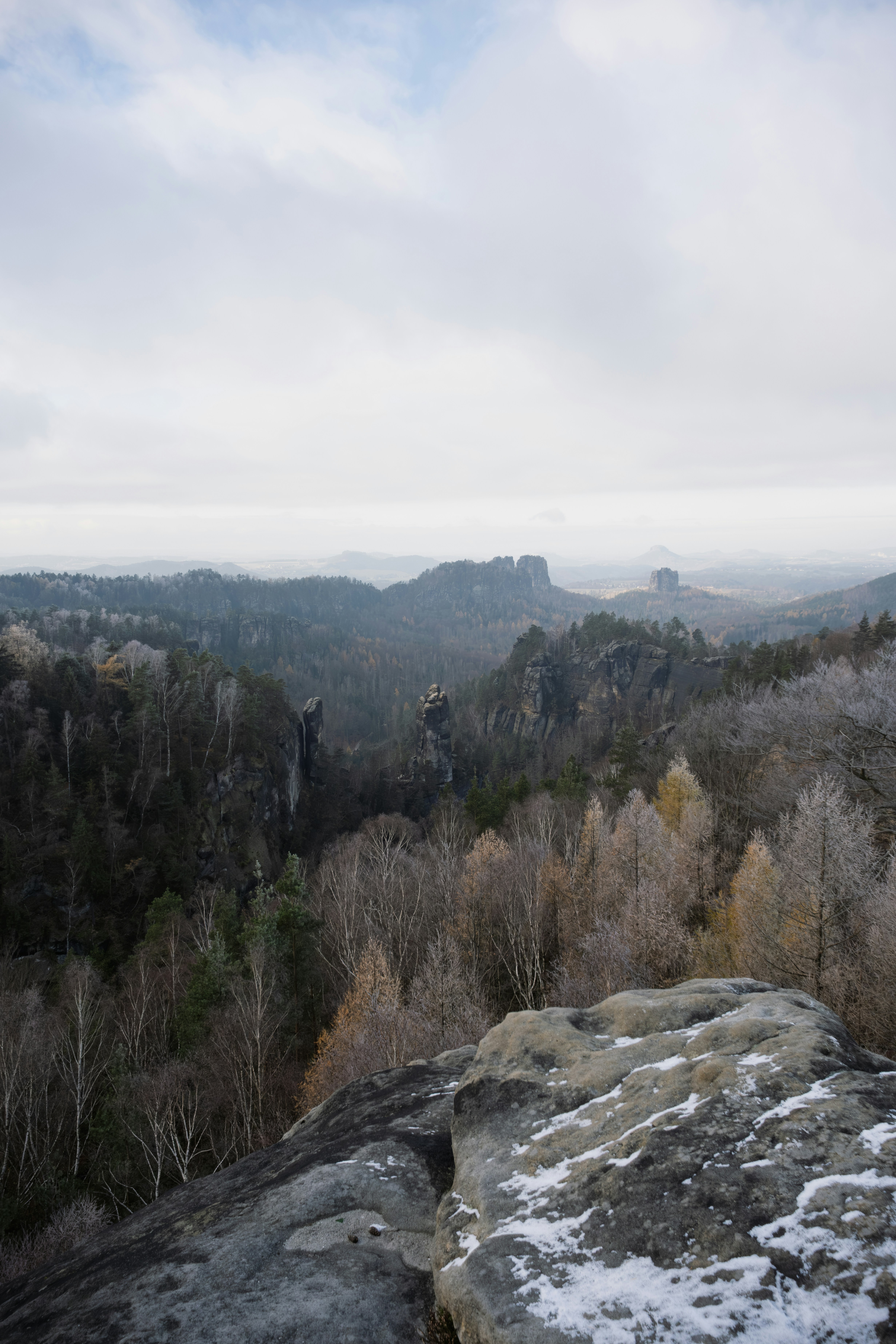 前景に岩だらけの前景がある霧に包まれた森の風景