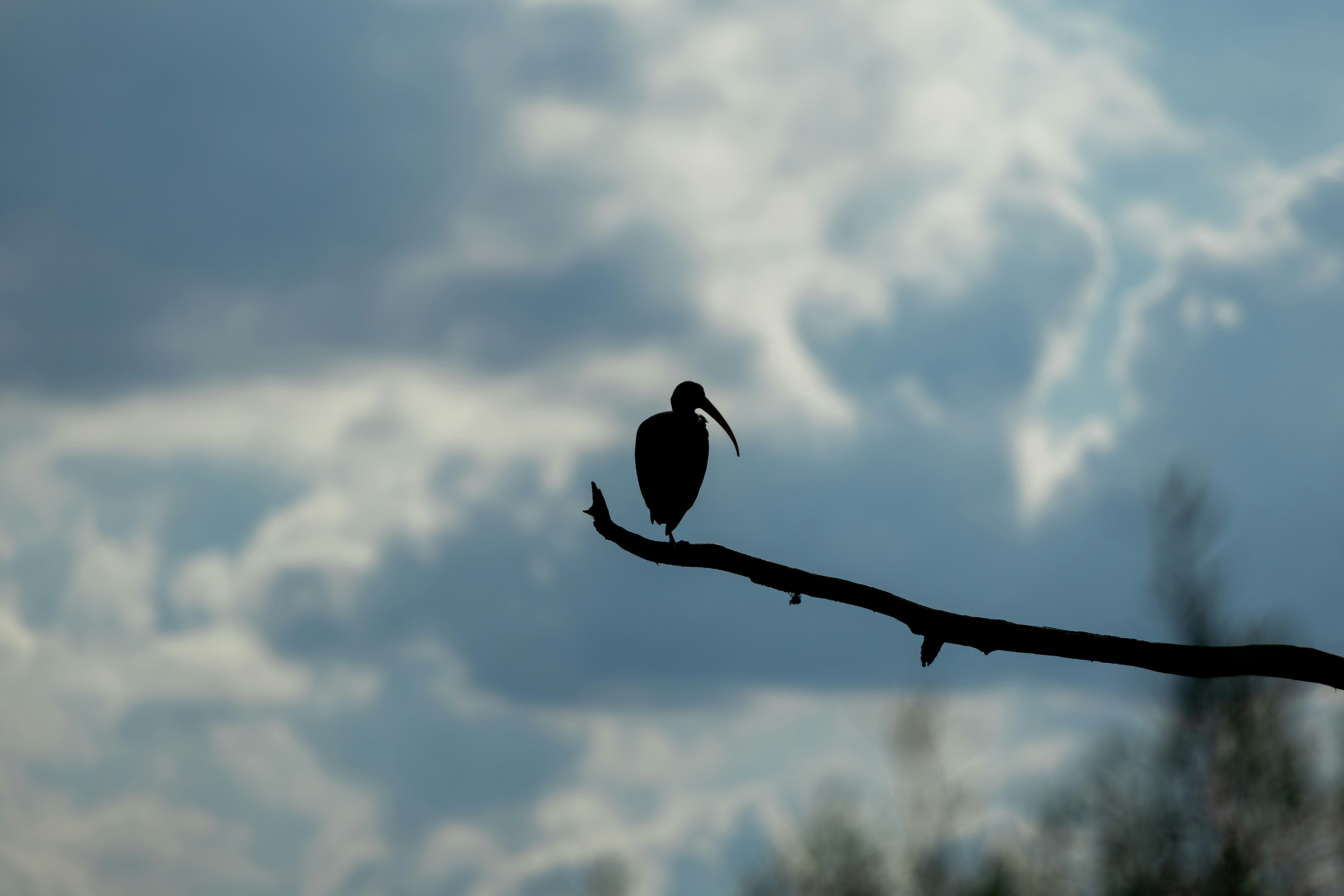 Photo by matheuskprot