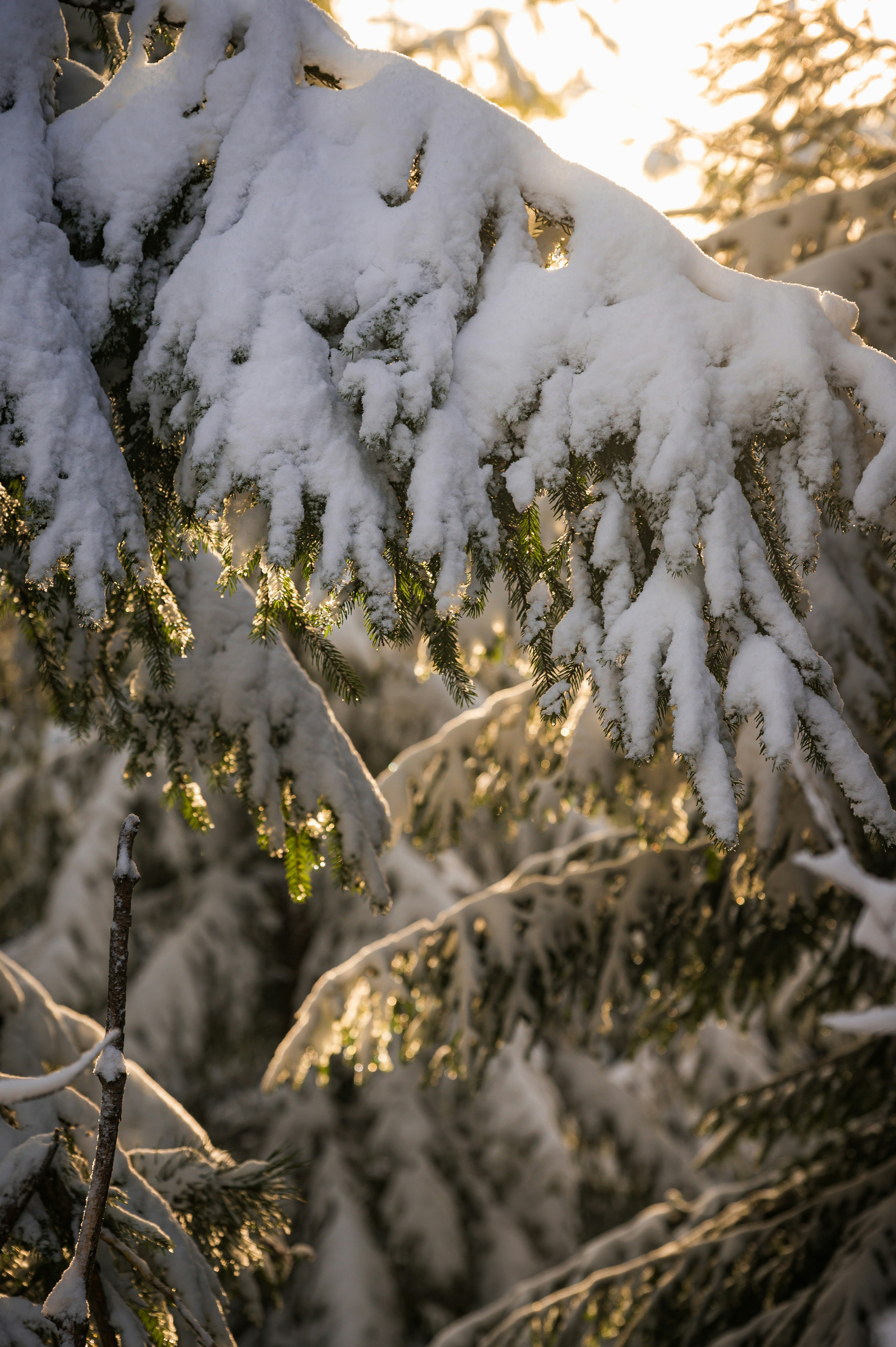 Photo by alexandra_p_d