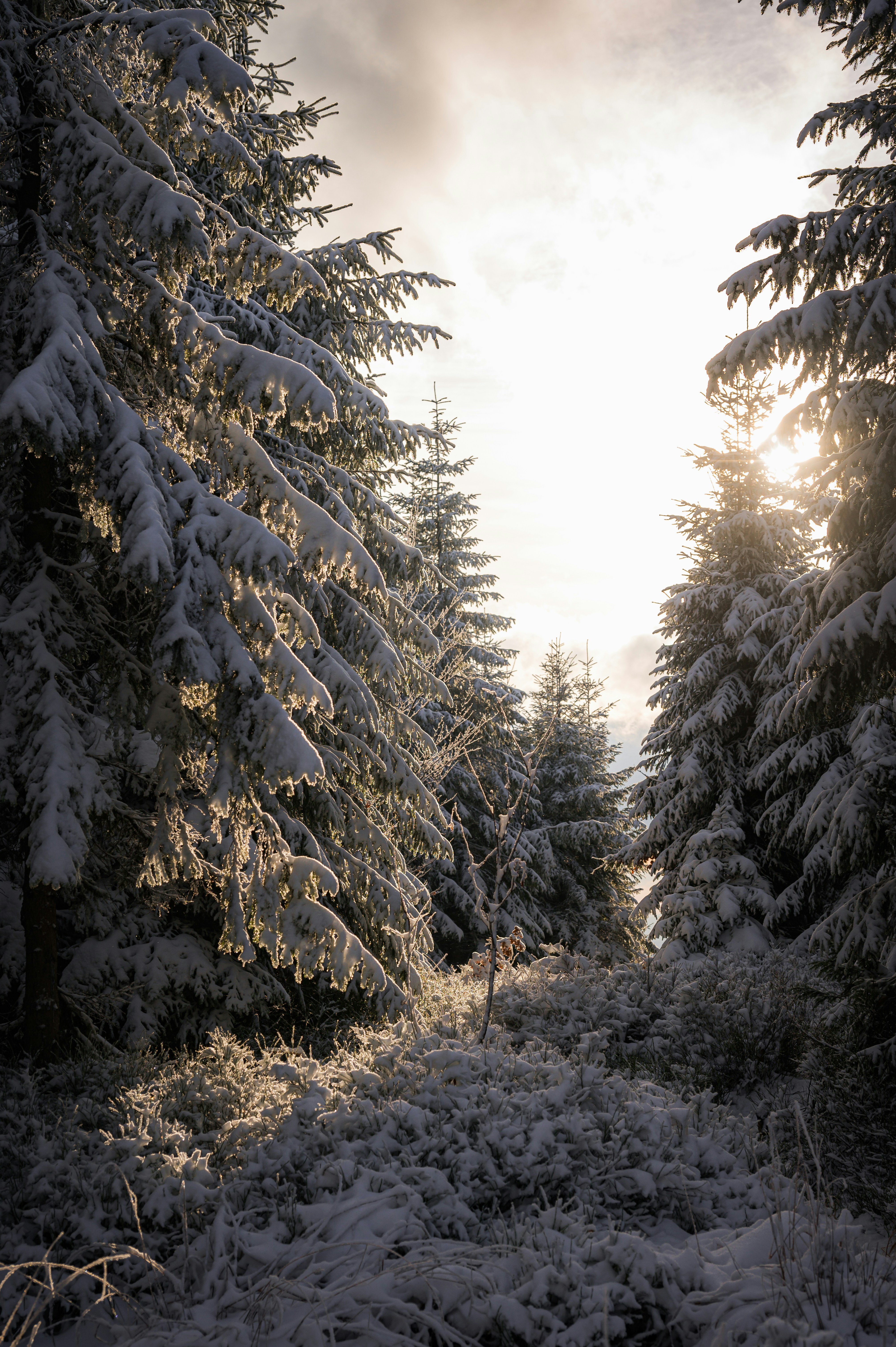 Photo by alexandra_p_d