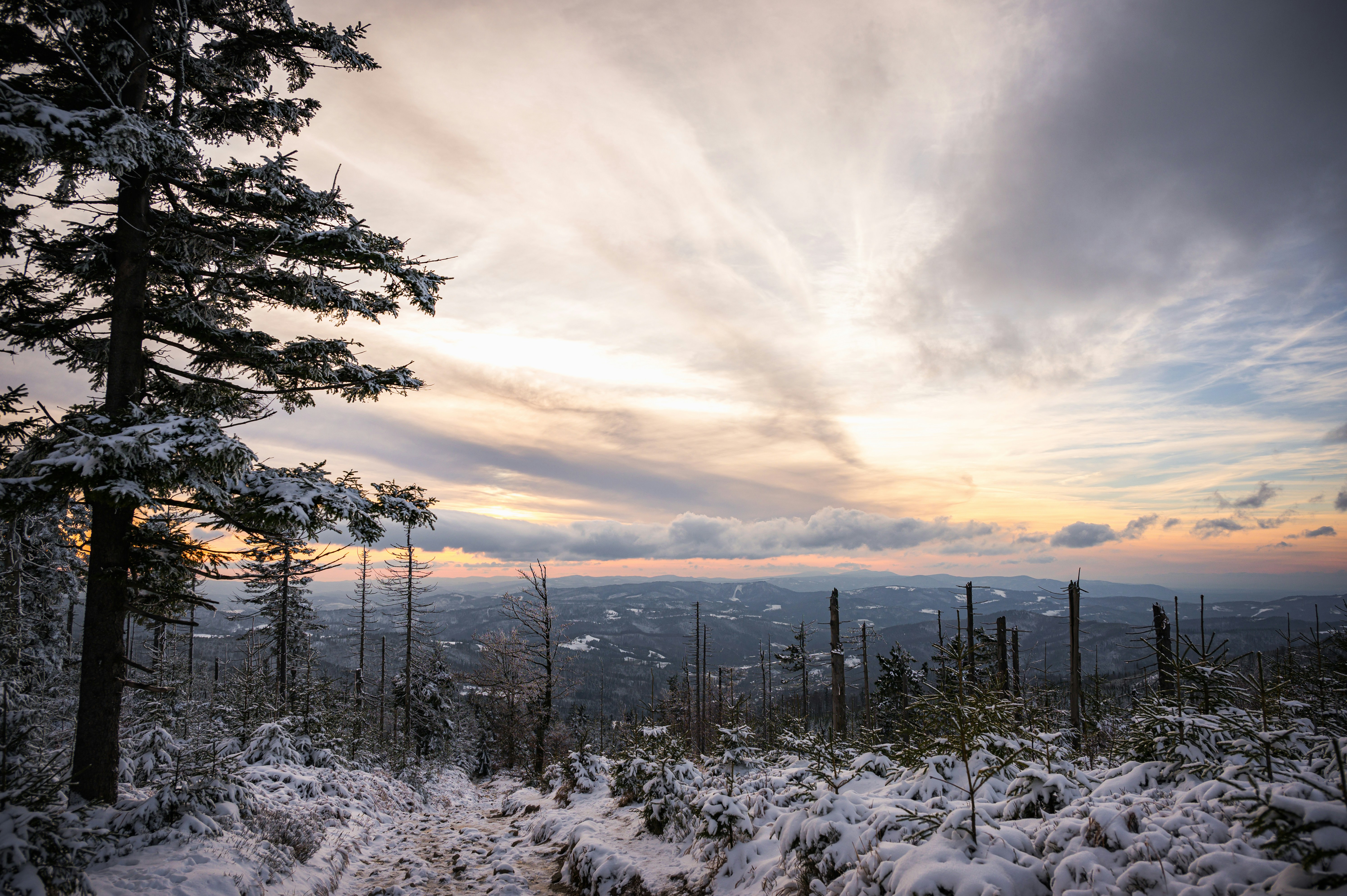 Photo by alexandra_p_d