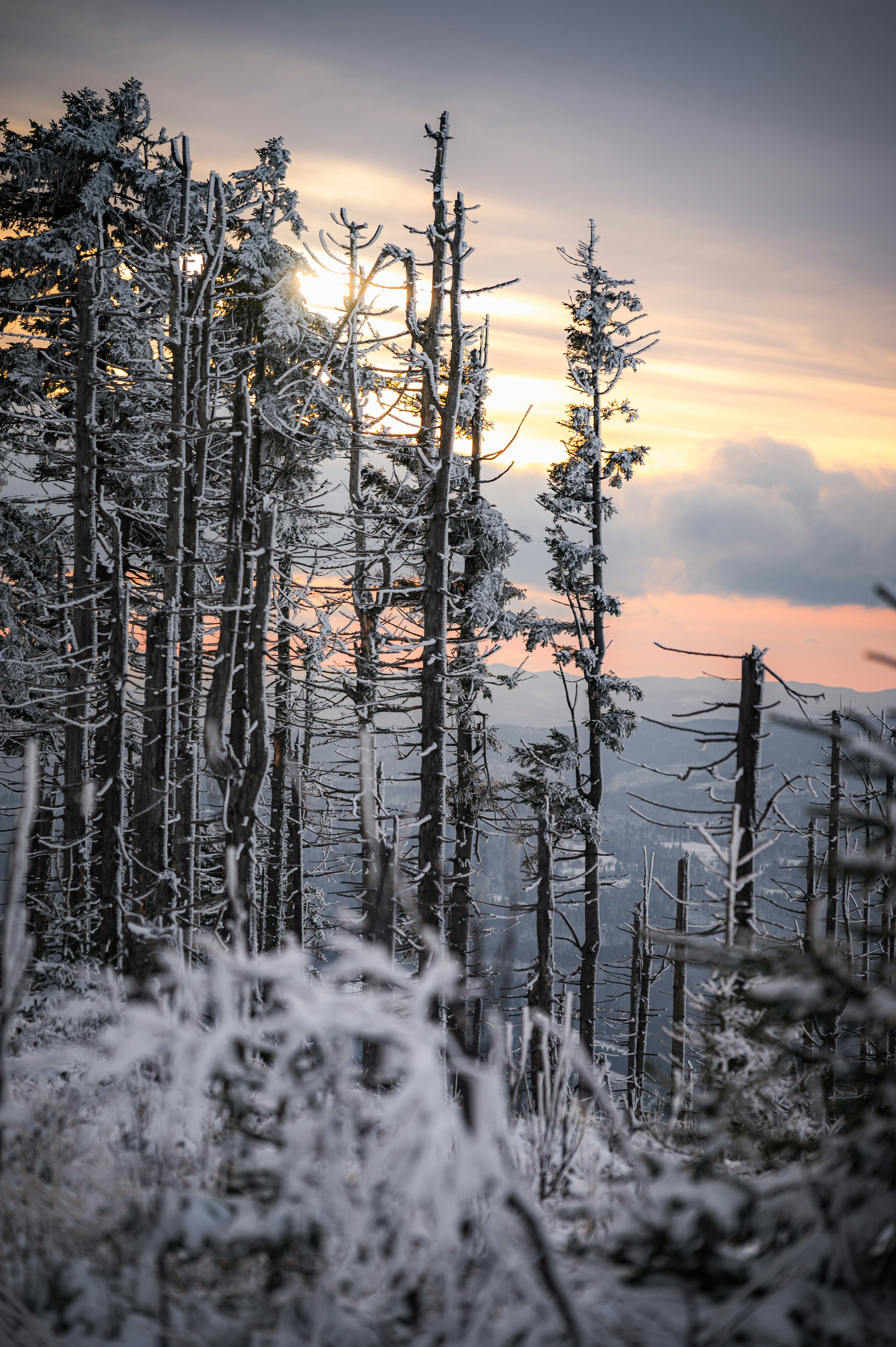 Photo by alexandra_p_d