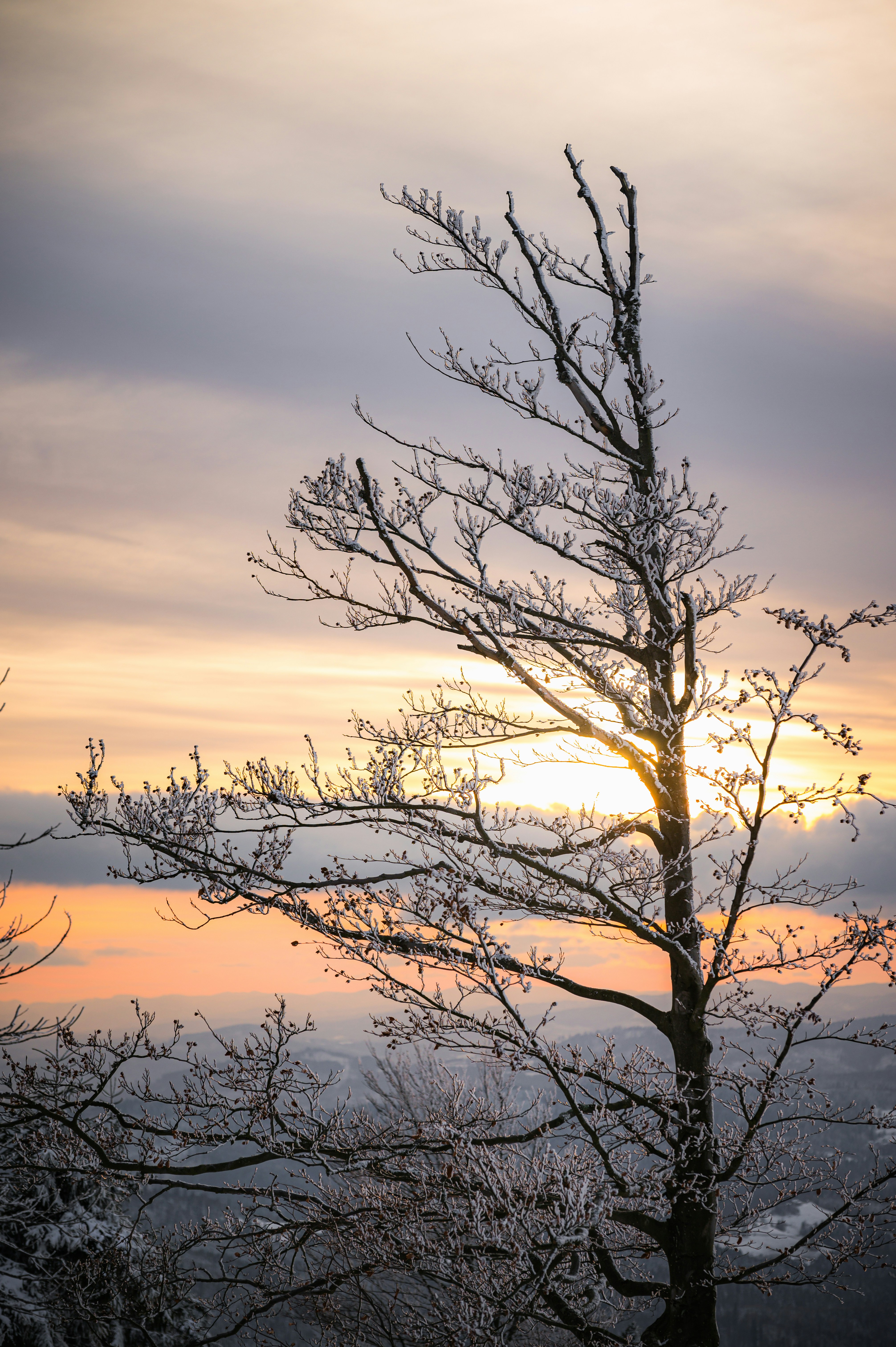 Photo by alexandra_p_d