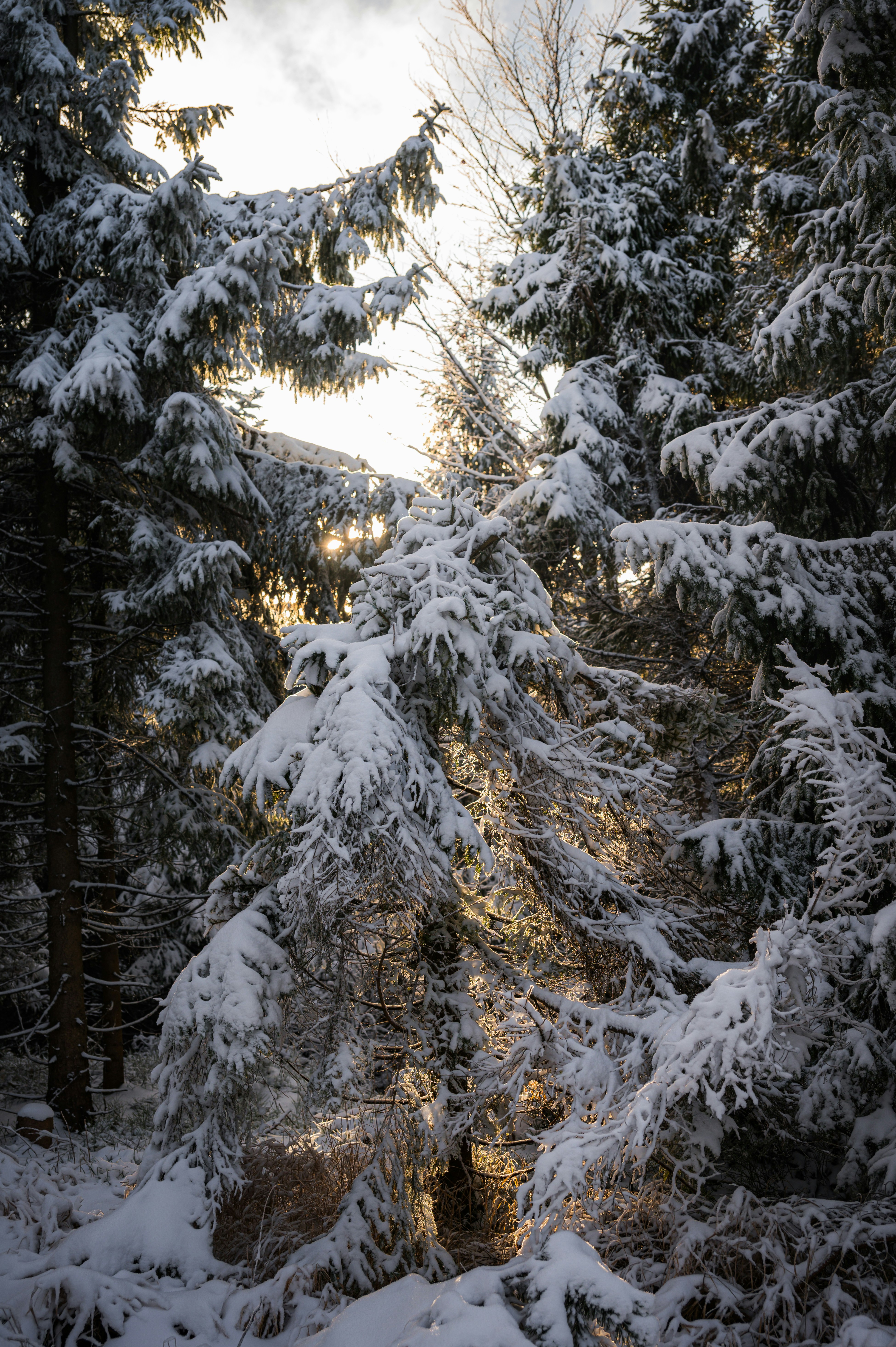 Photo by alexandra_p_d