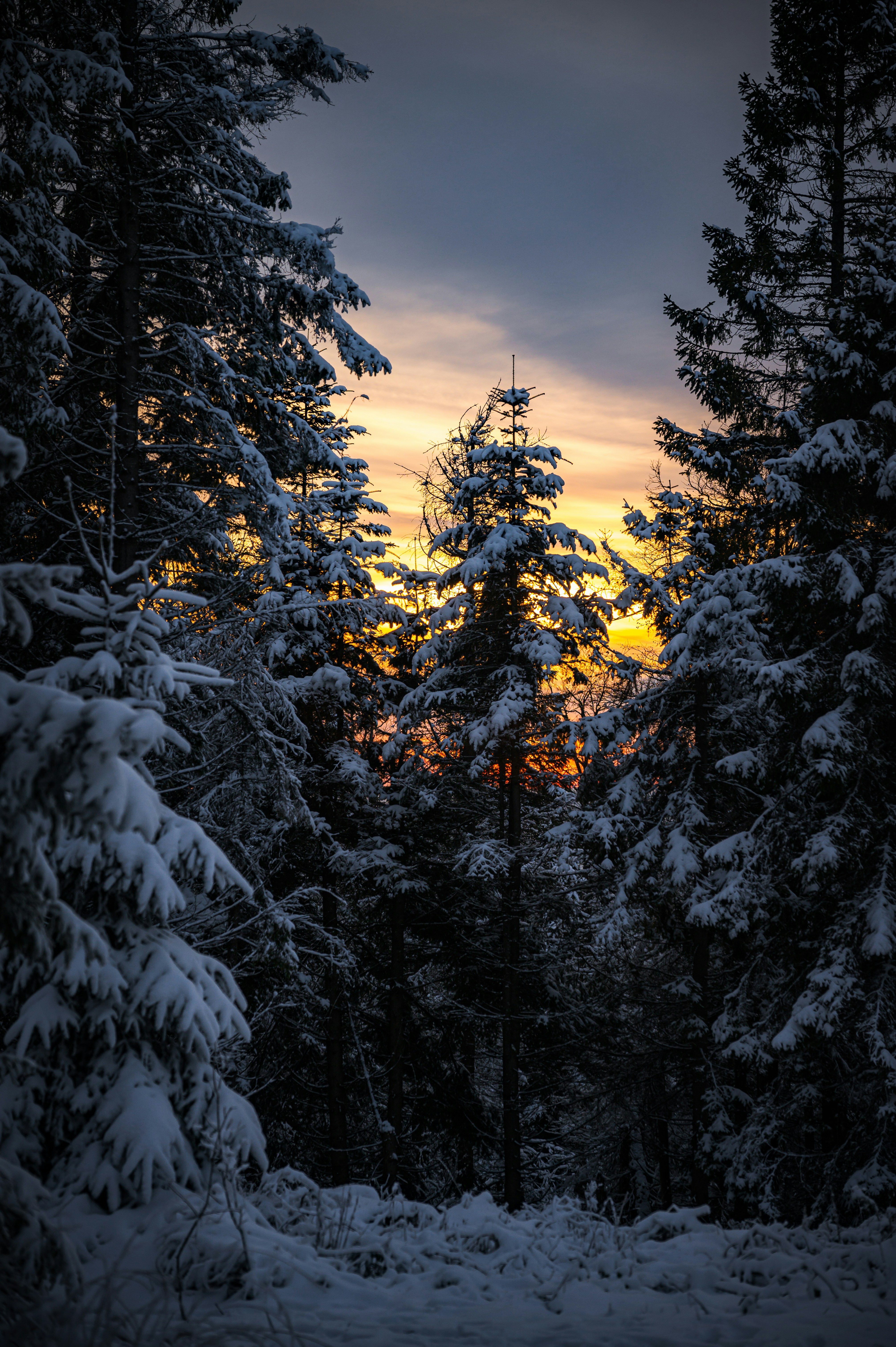 Photo by alexandra_p_d