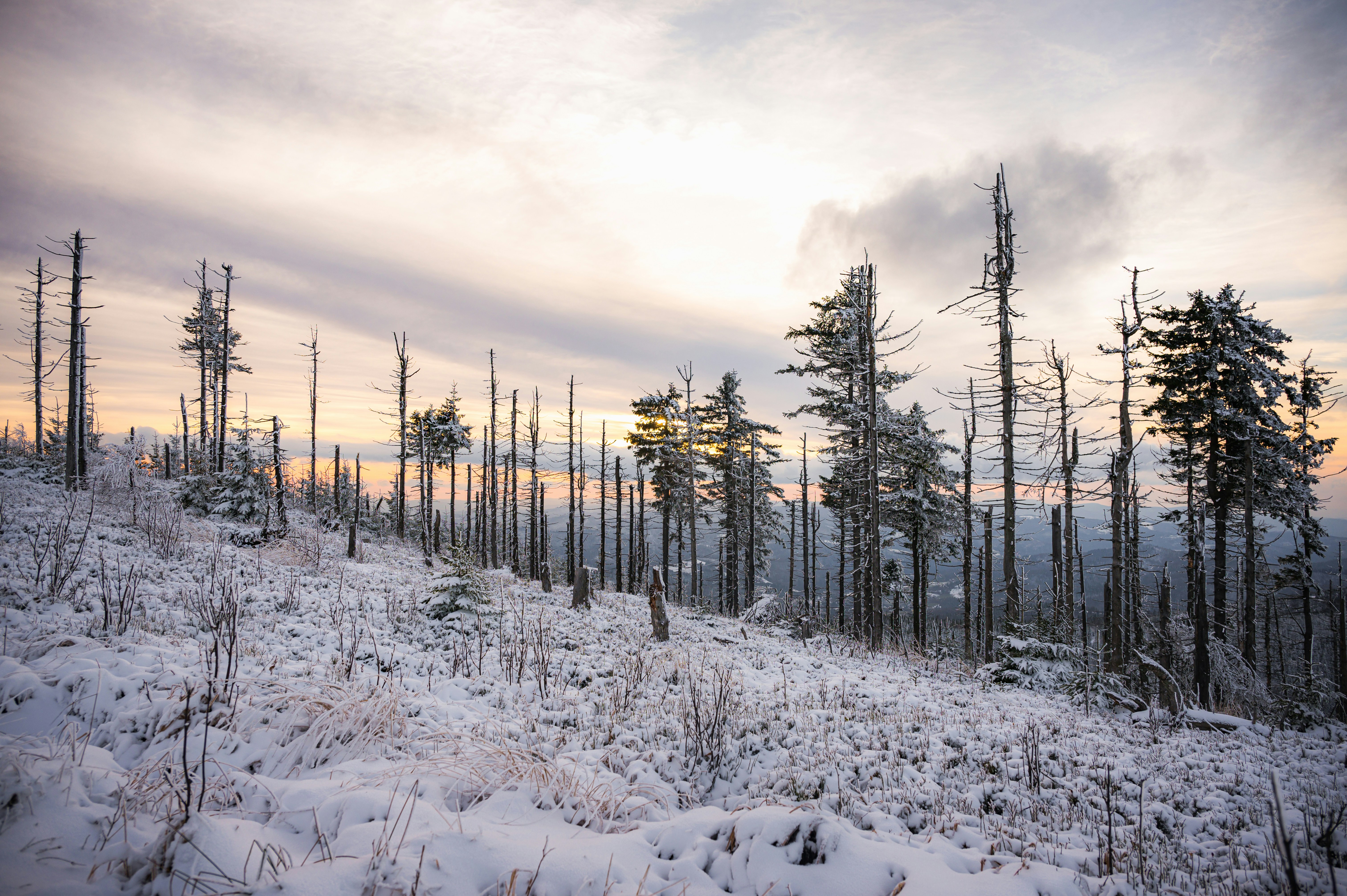 Photo by alexandra_p_d