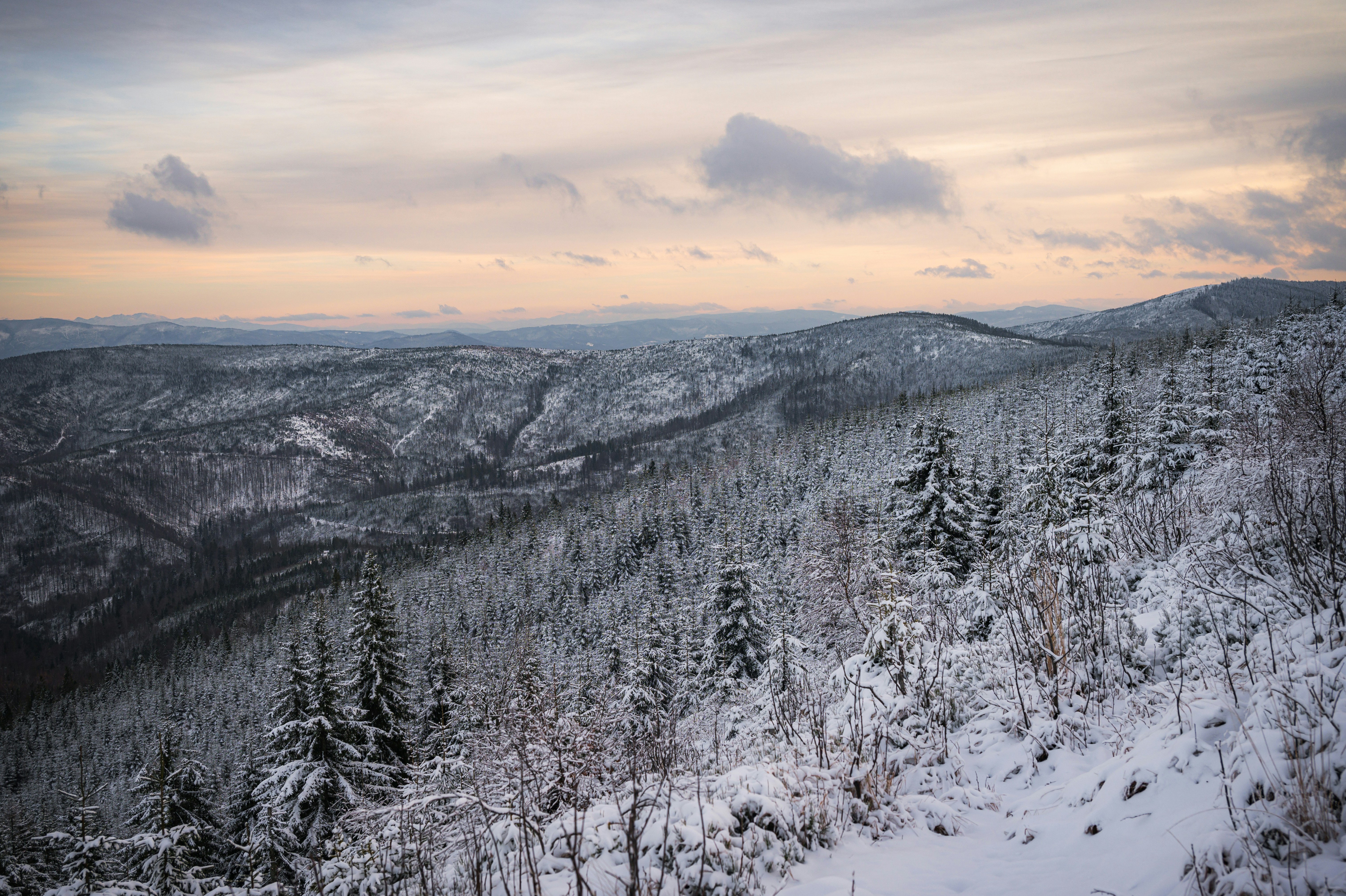 Photo by alexandra_p_d