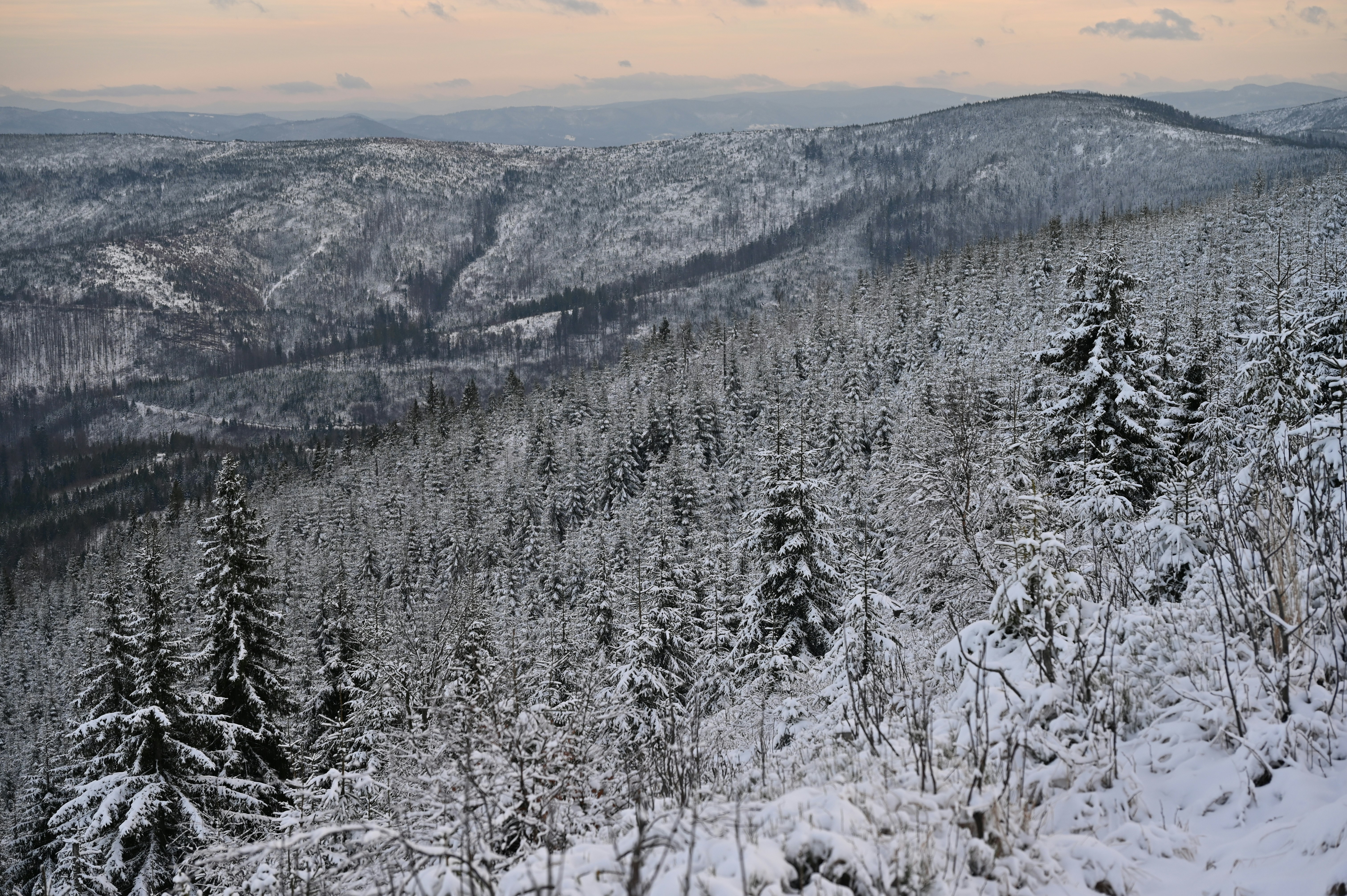 Photo by alexandra_p_d