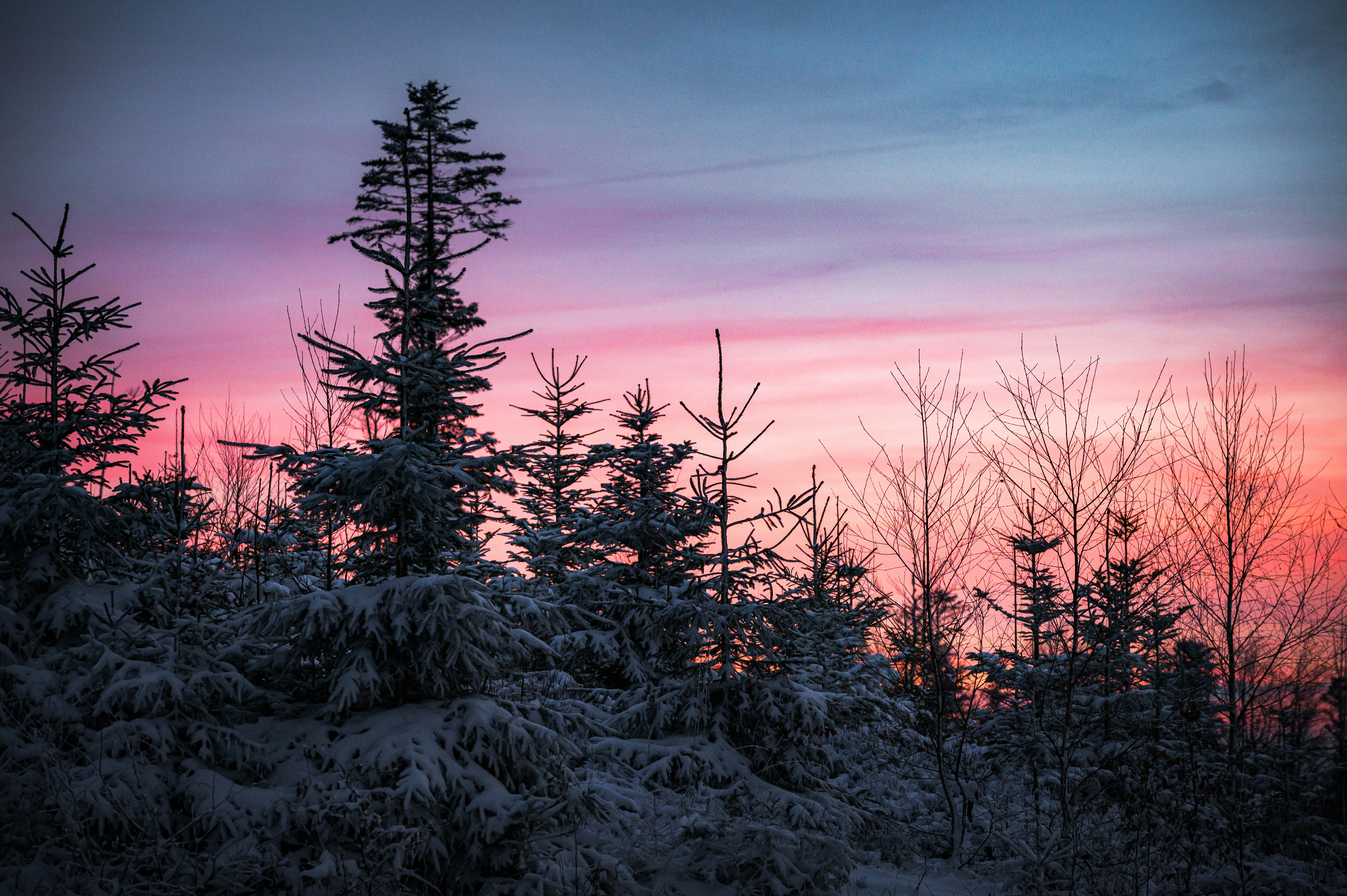 Photo by alexandra_p_d