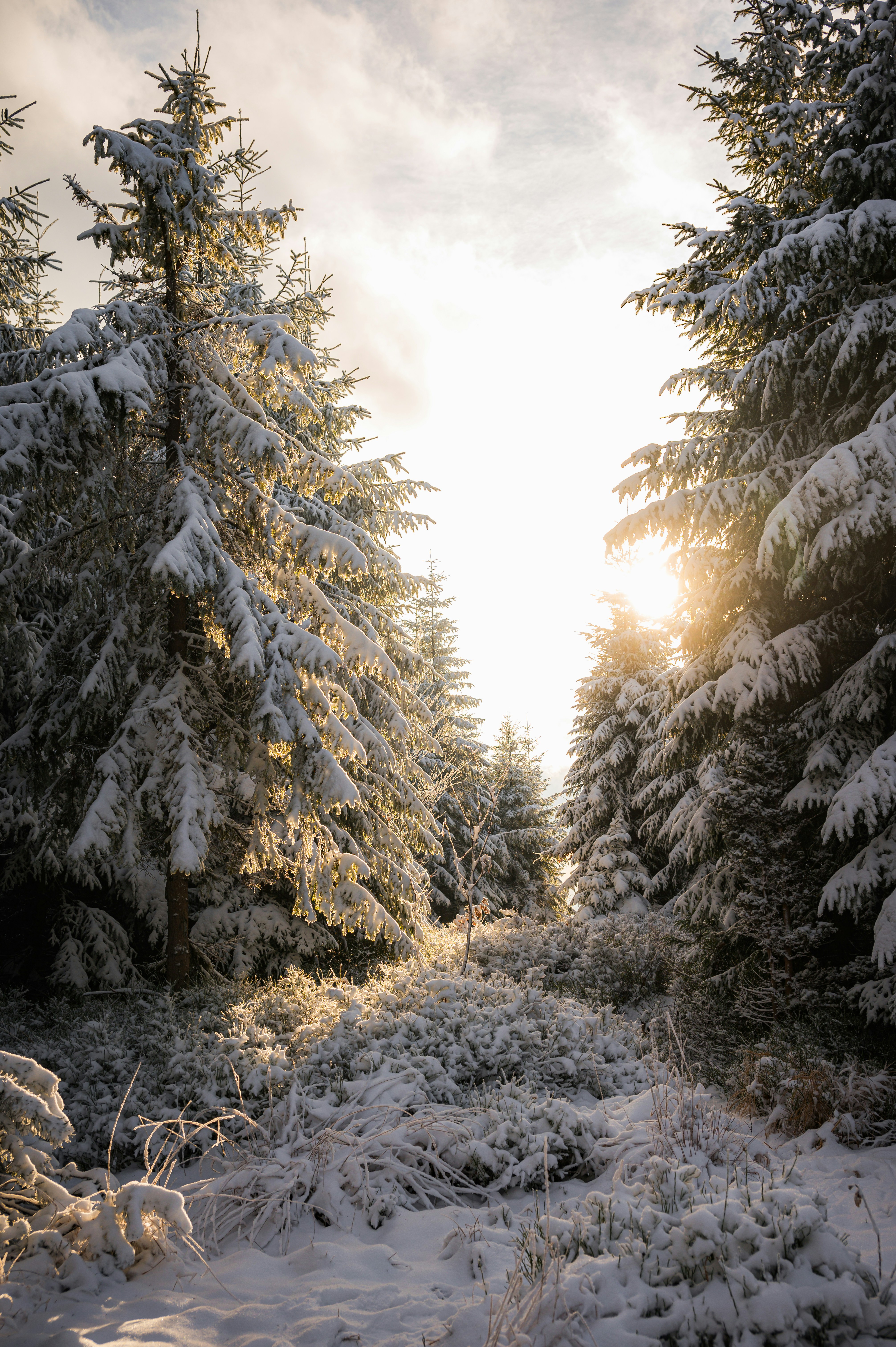 Photo by alexandra_p_d