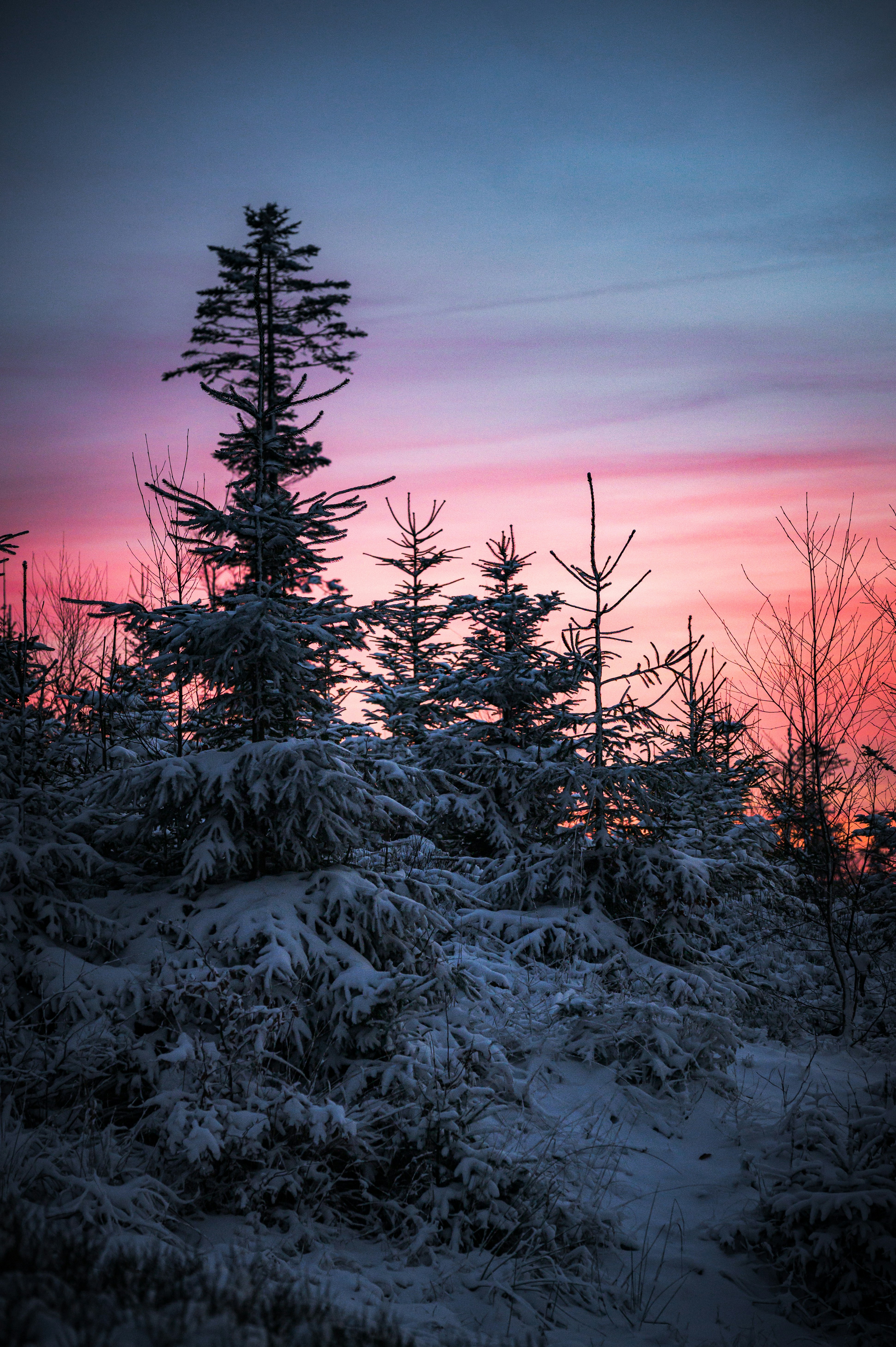 Photo by alexandra_p_d