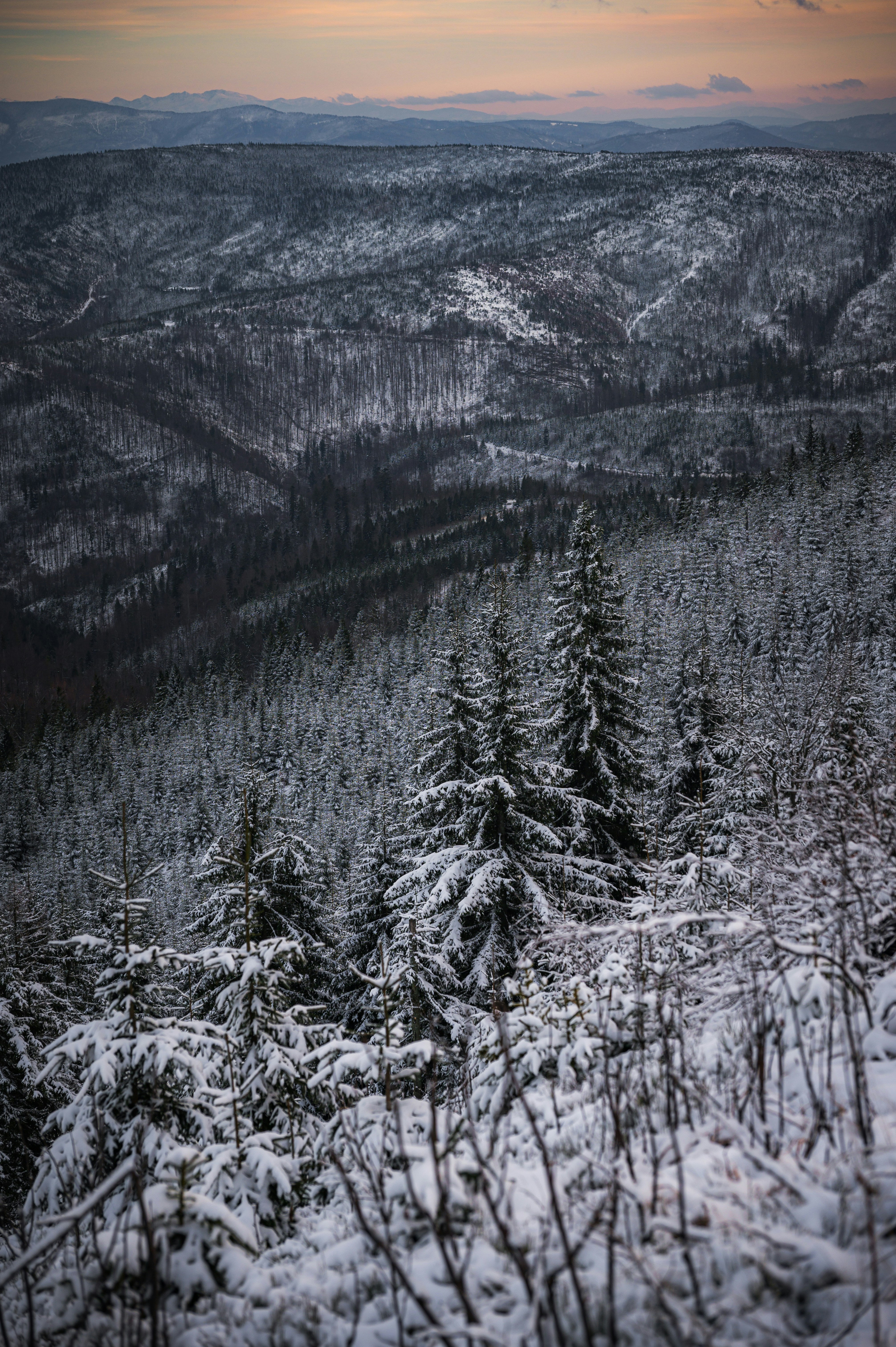 Photo by alexandra_p_d