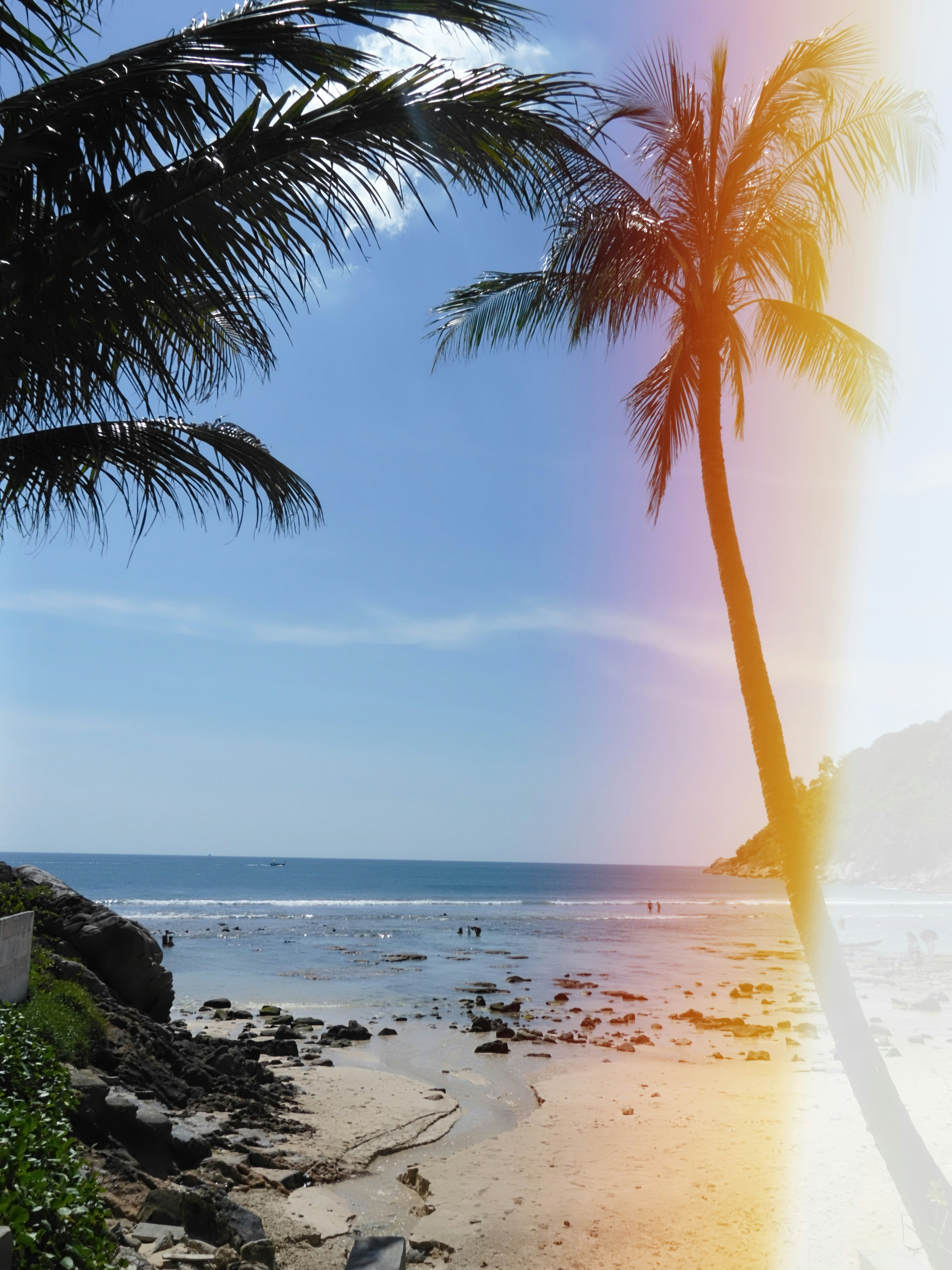 Photo by diradzanovski