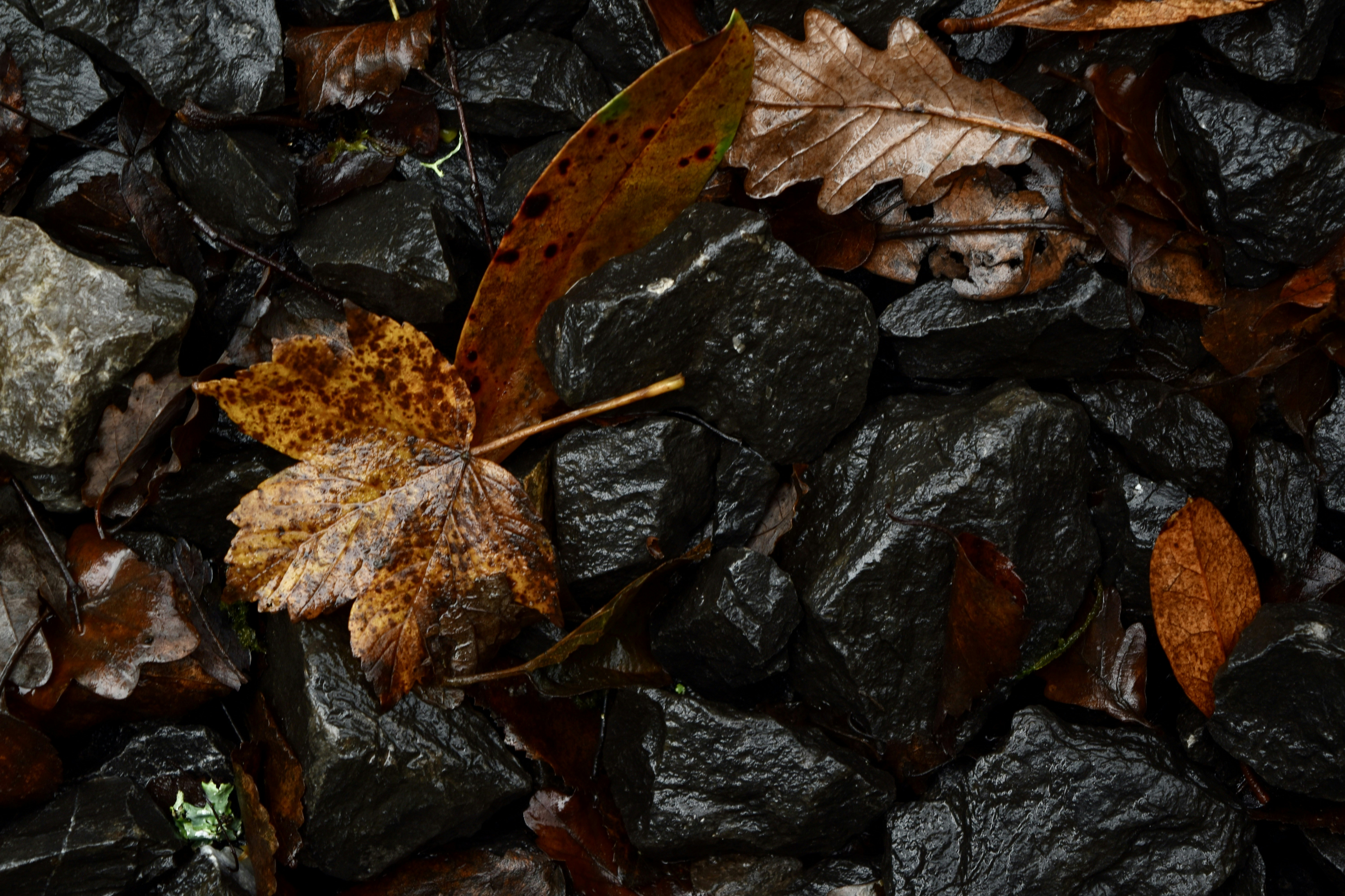 Photo by max_brindley