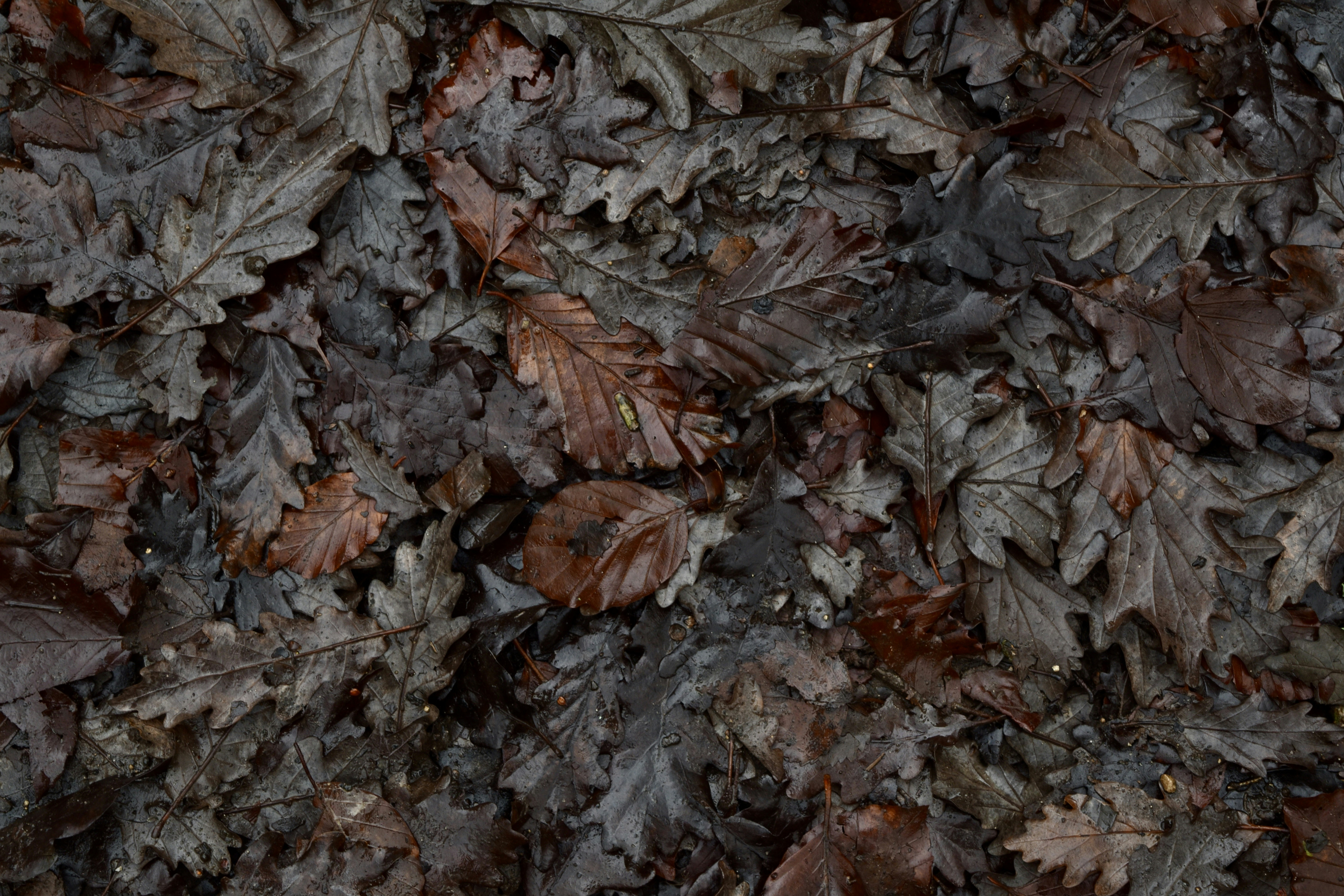 Photo by max_brindley