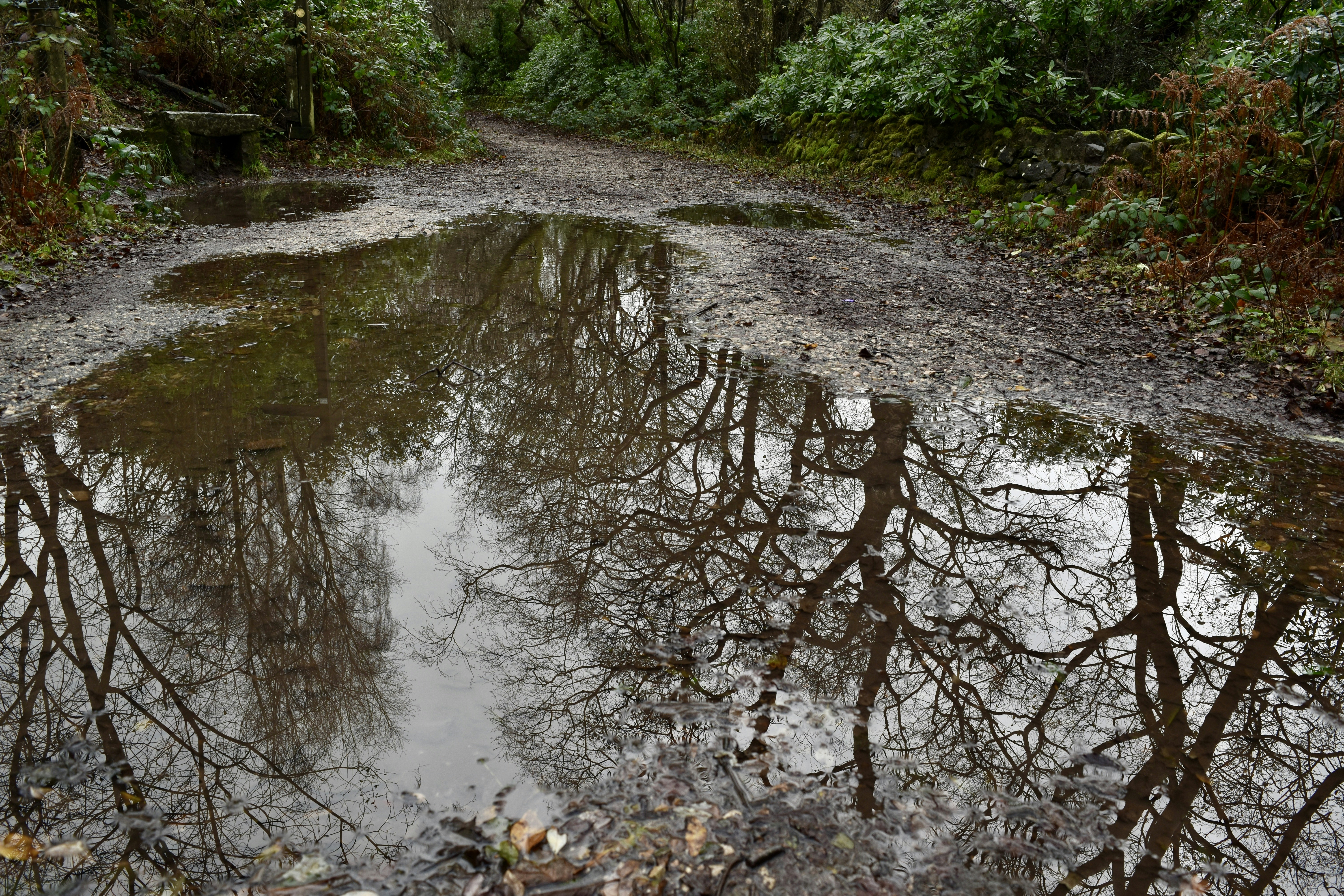 Photo by max_brindley