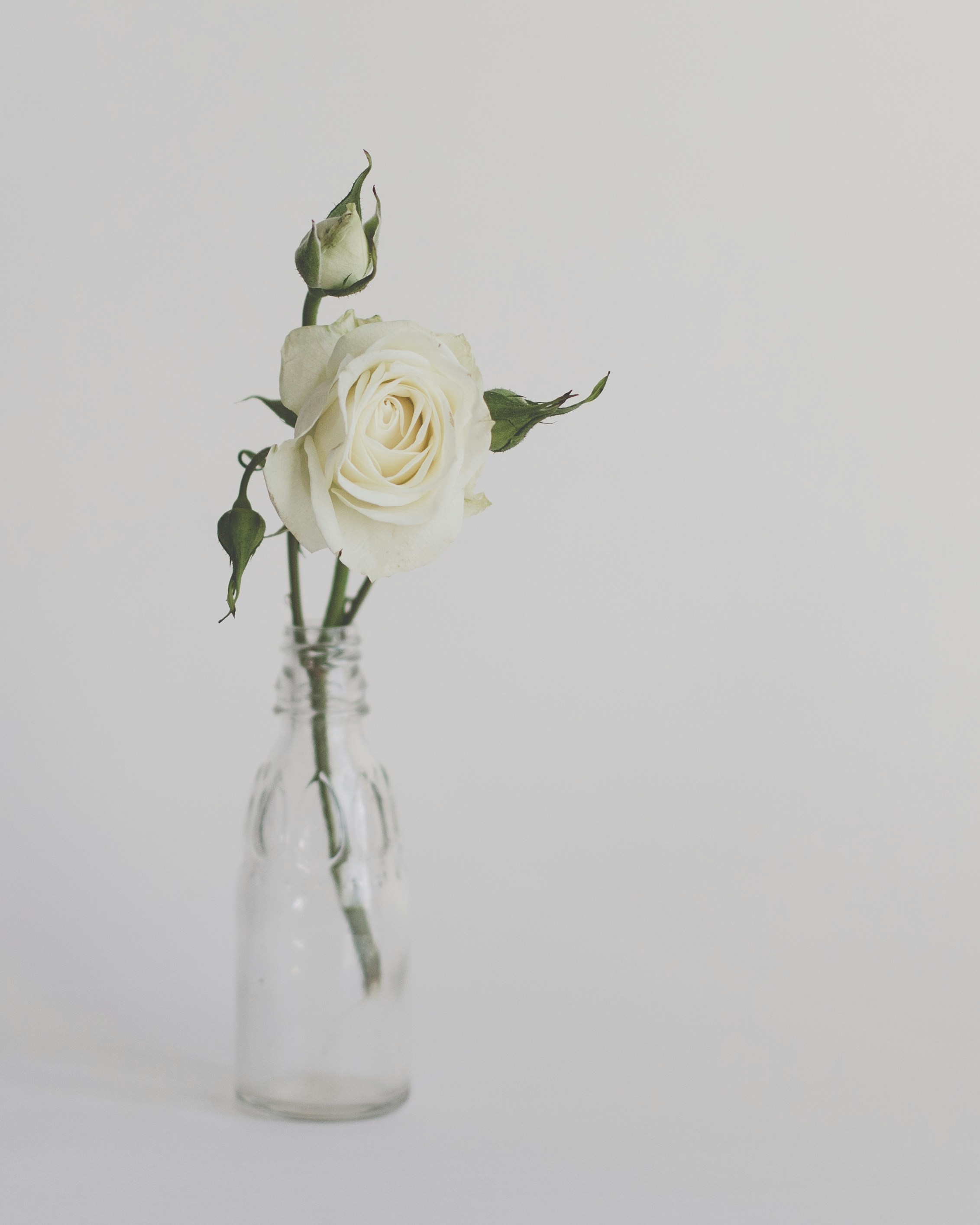 Photo by sixteenmilesout