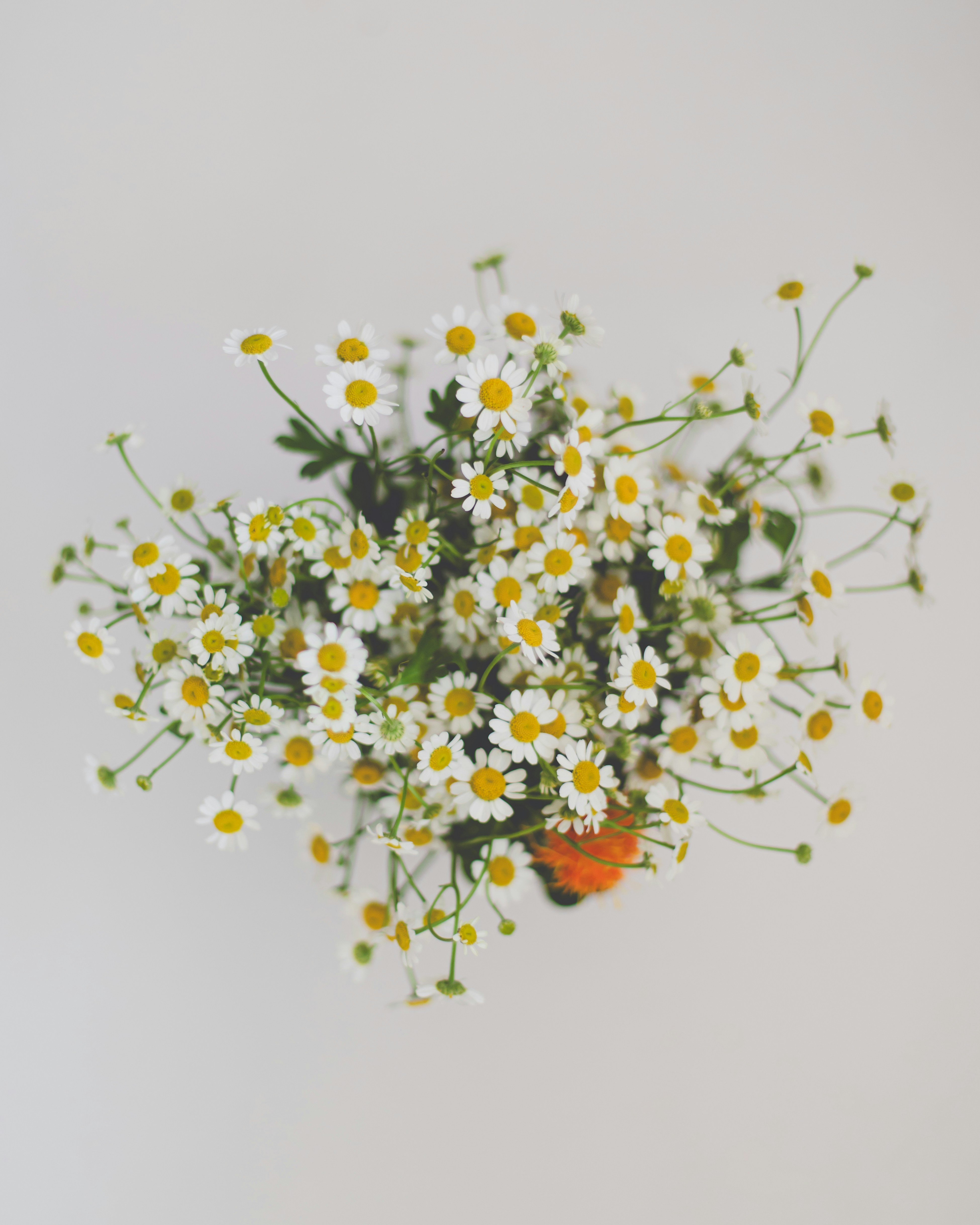 Photo by sixteenmilesout