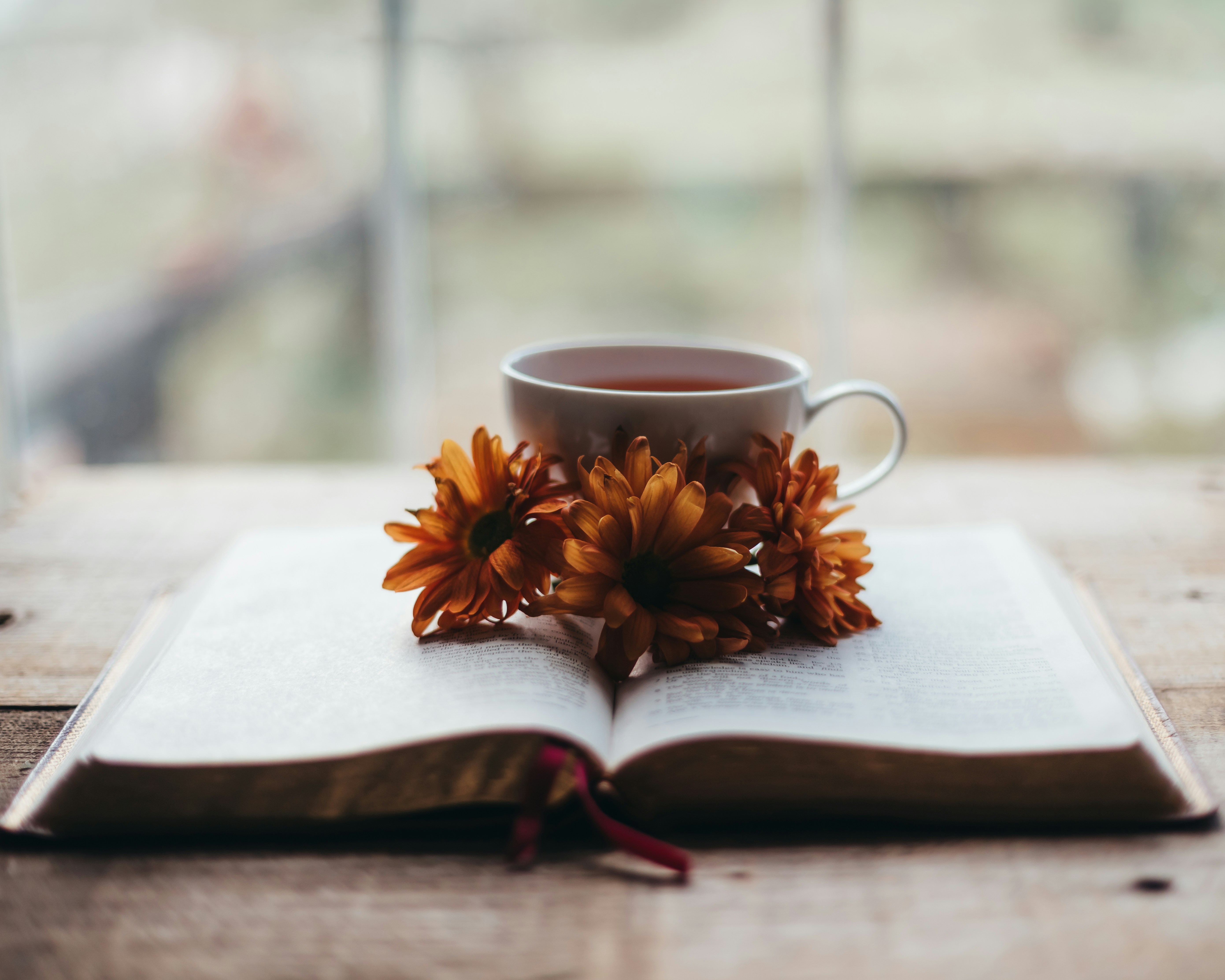 Open book with tea and flowers by window