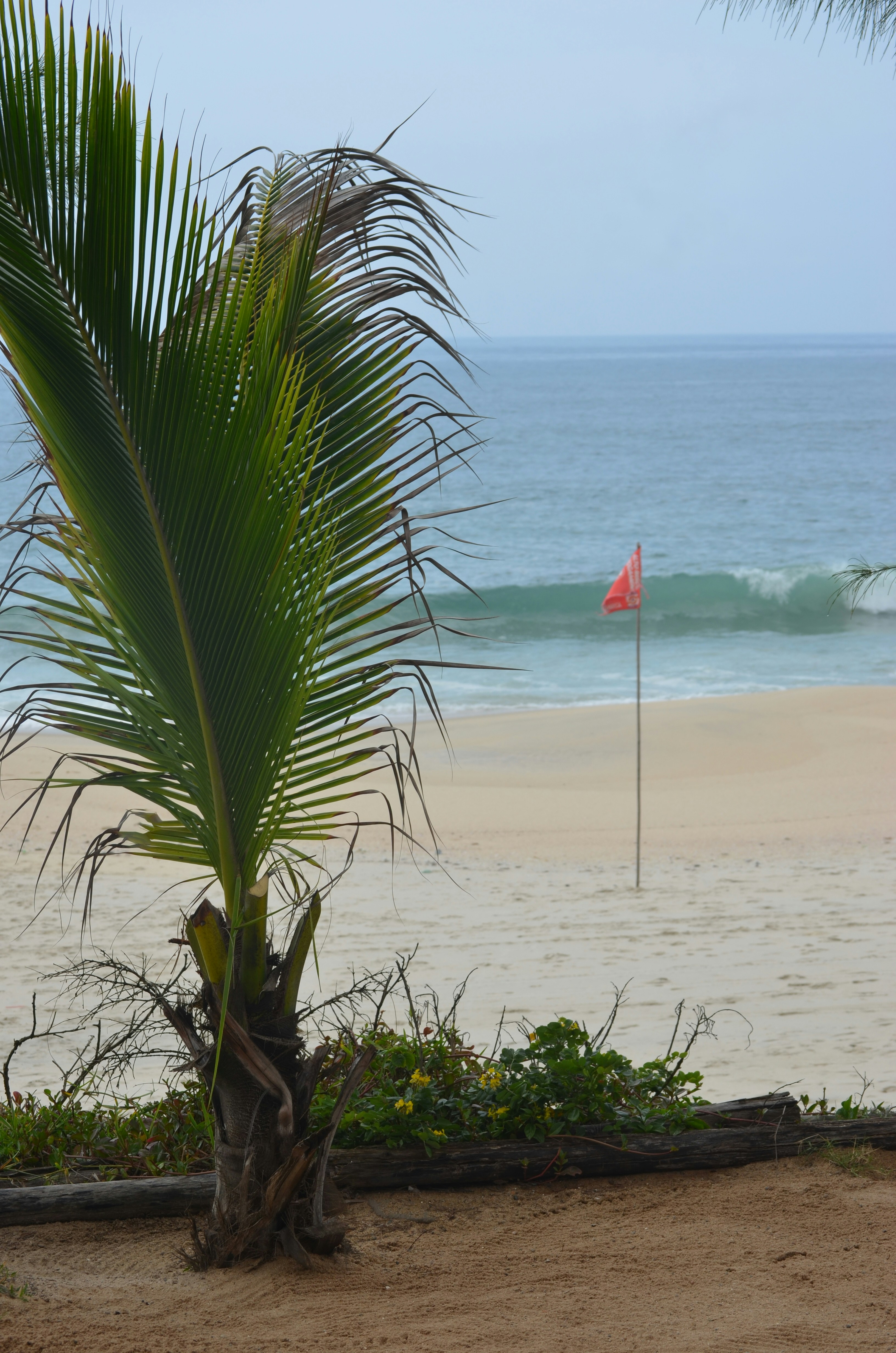 ¡Atención! Bandera roja en todas las playas de Puerto Vallarta
